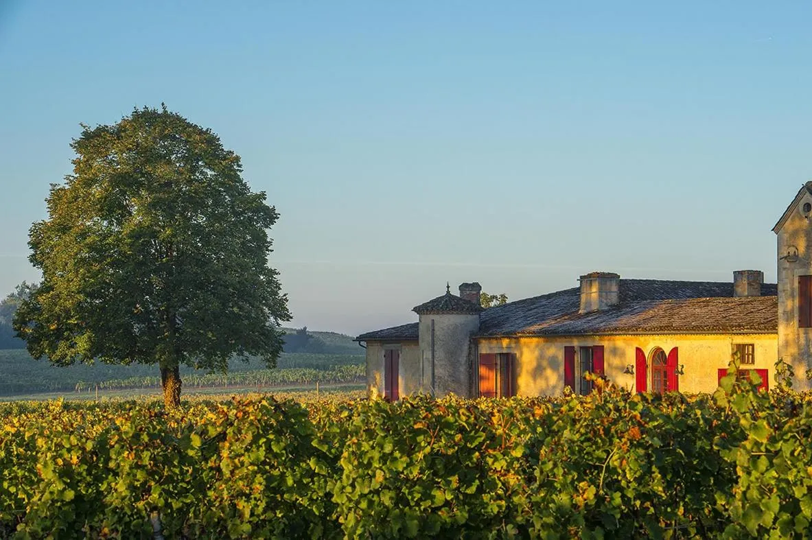 Property building in Château Sigalas Rabaud