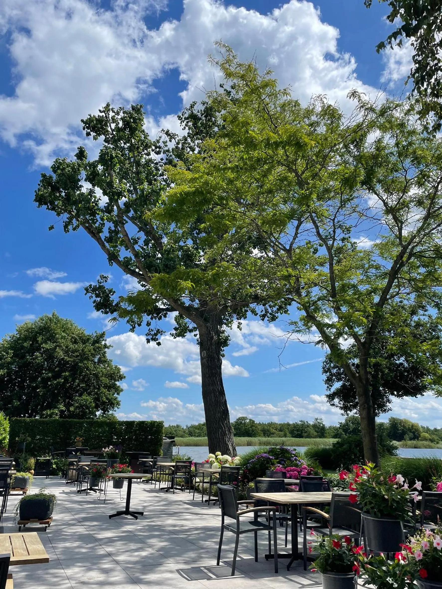 Garden in Restaurant-Hotel de Watergeus