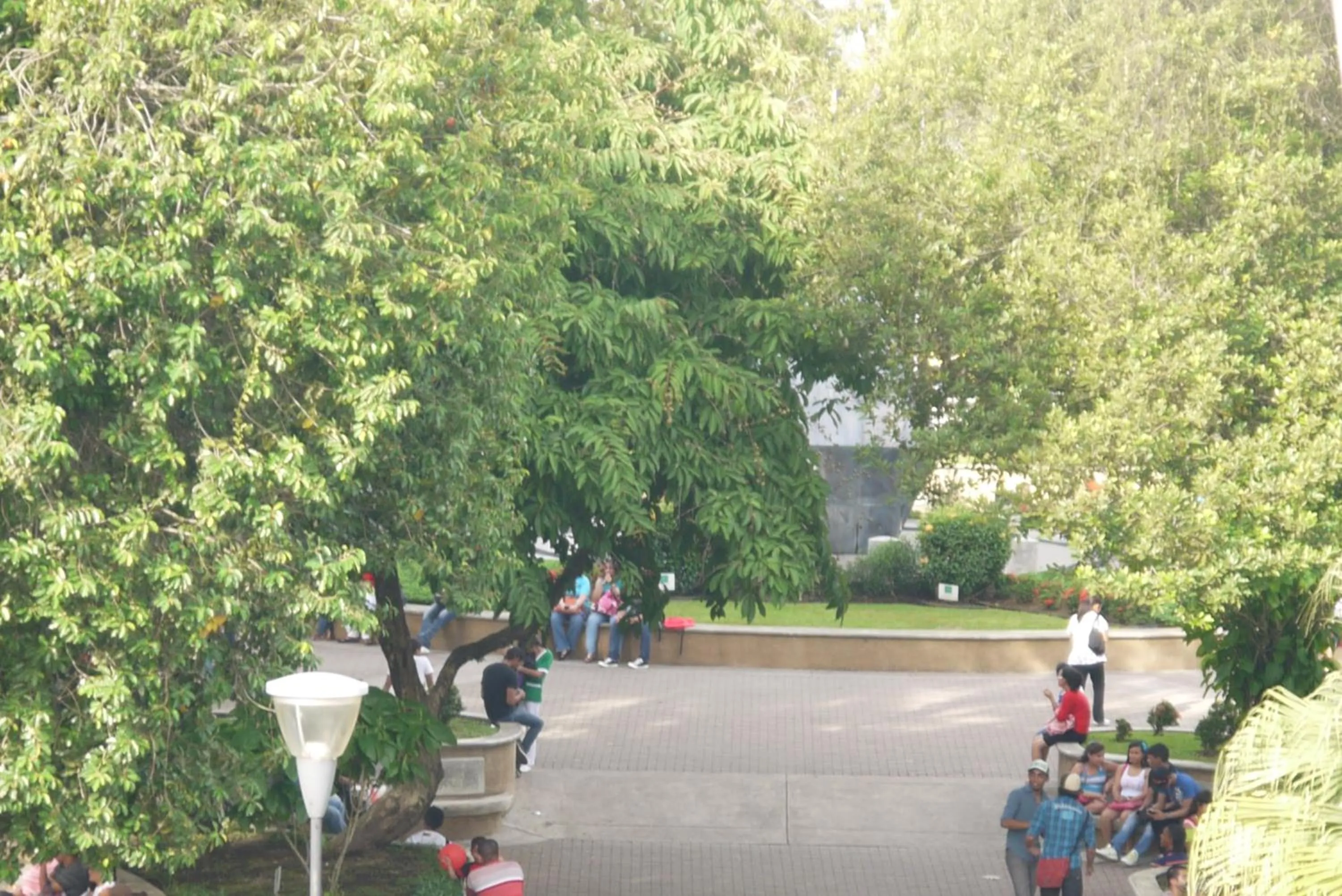 Area and facilities in Hotel Castilla