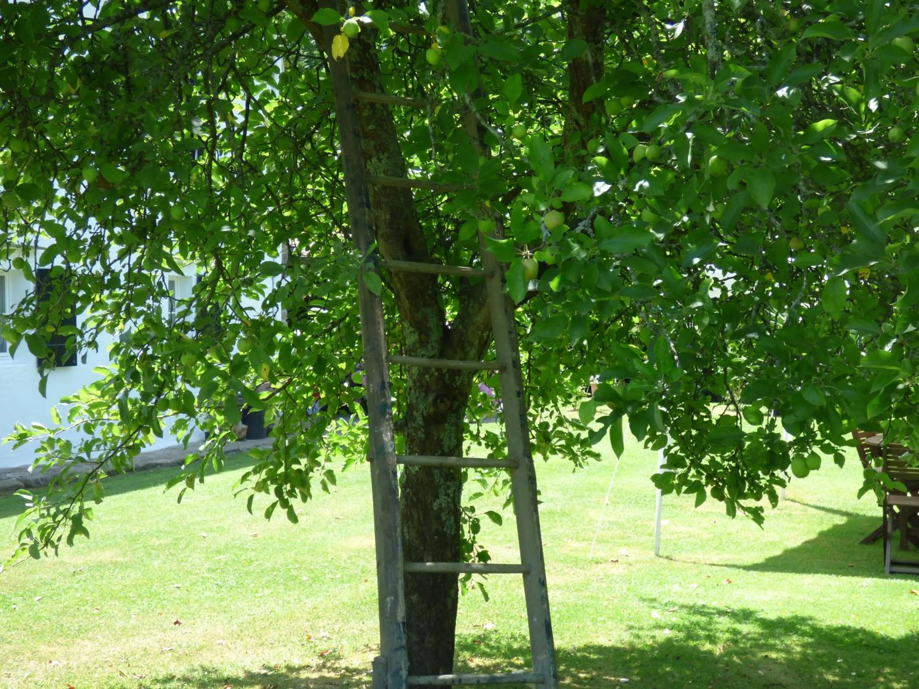 Garden view in Maison d'hôtes de charme ttakoinenborda