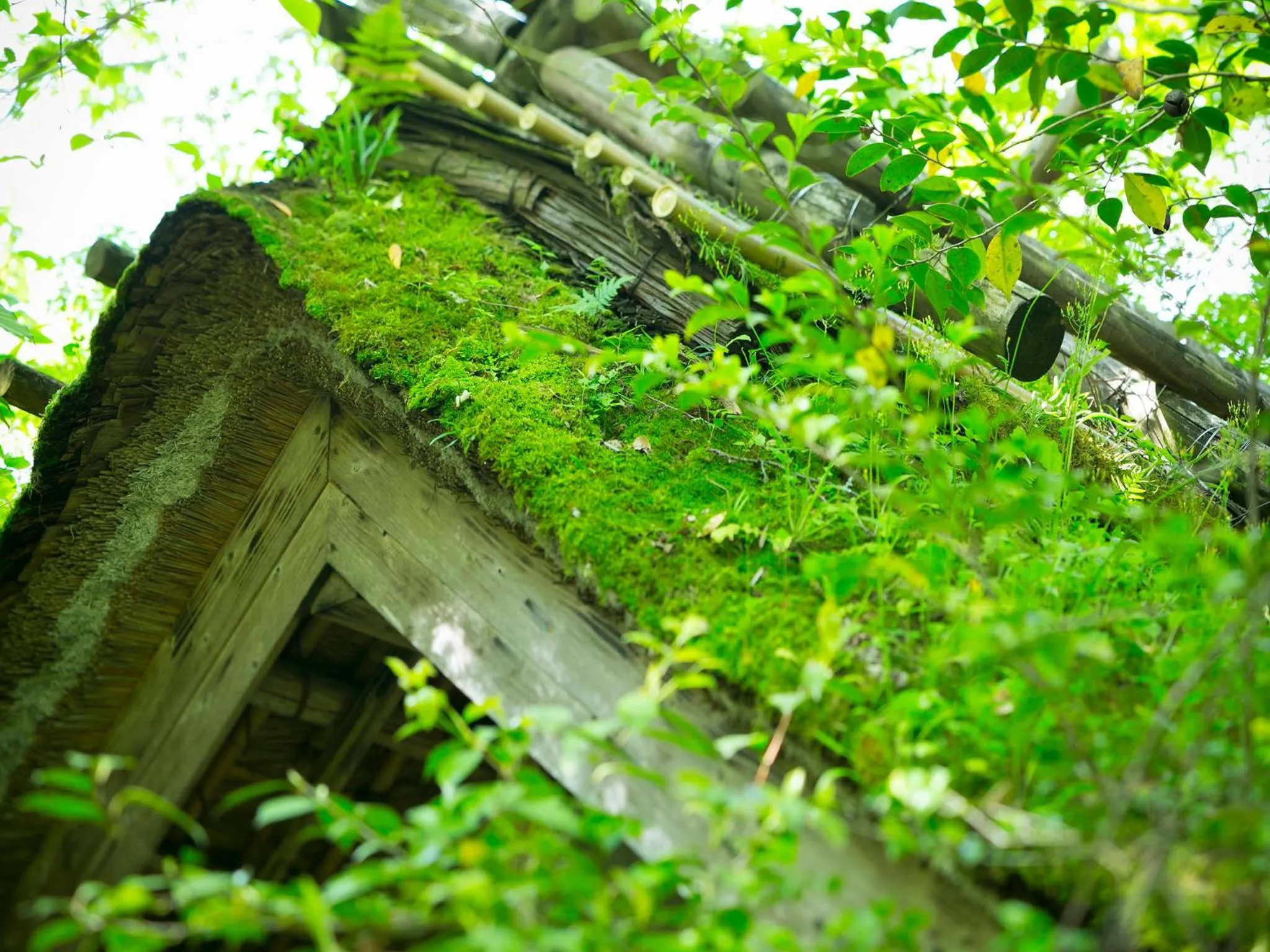 Facade/entrance in Kurokawa-So