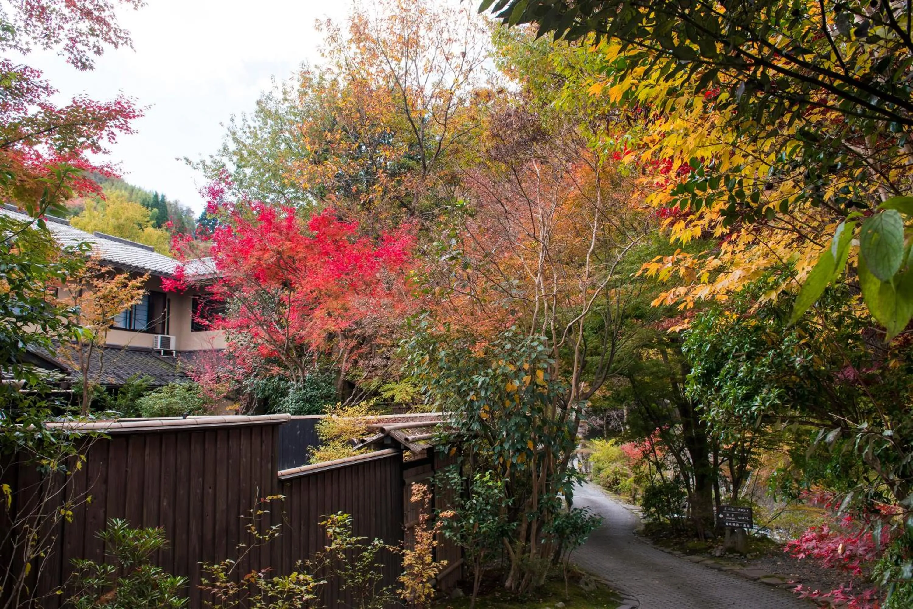 Autumn in Kurokawa-So