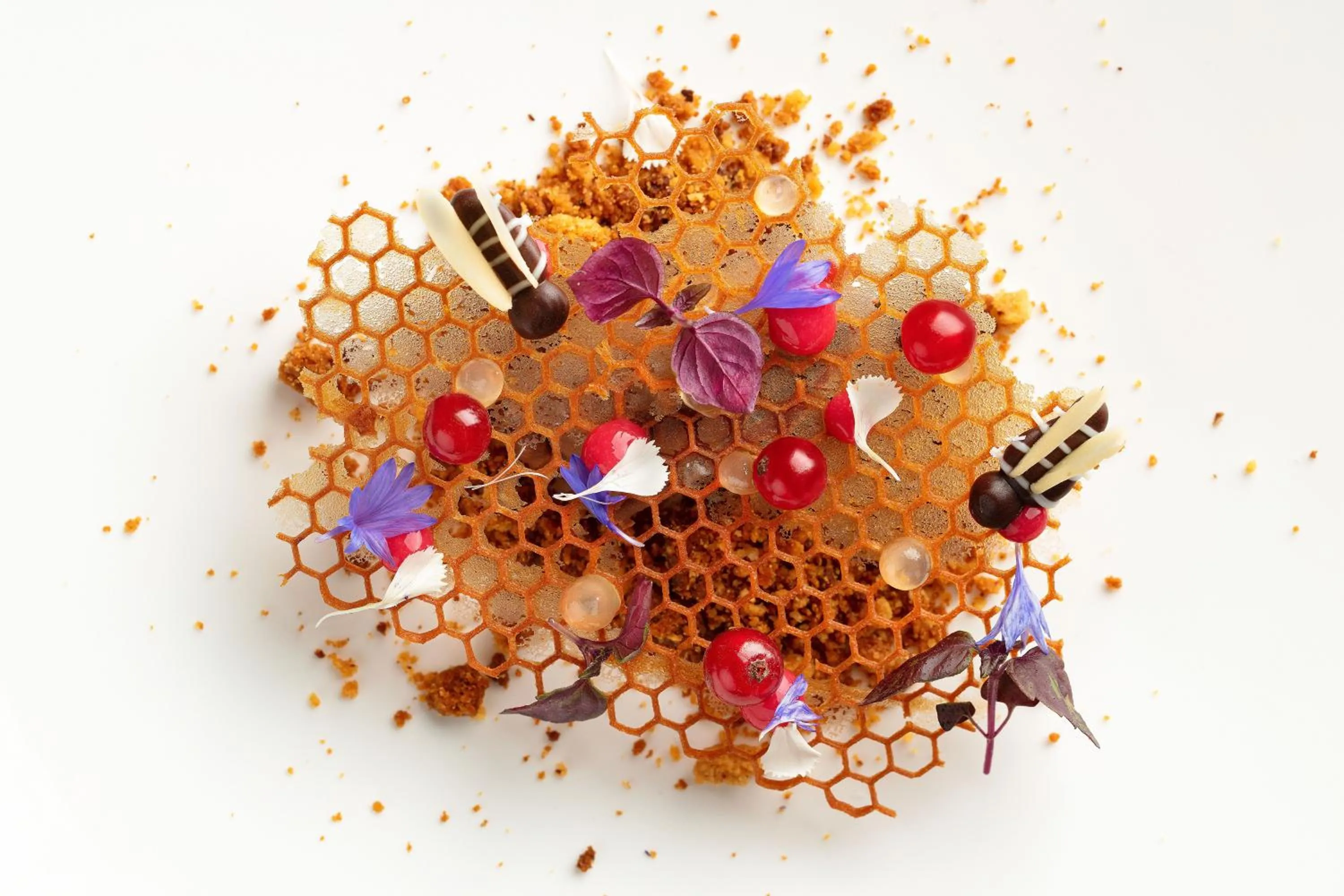 Restaurant/places to eat in Le Jardin des Plumes