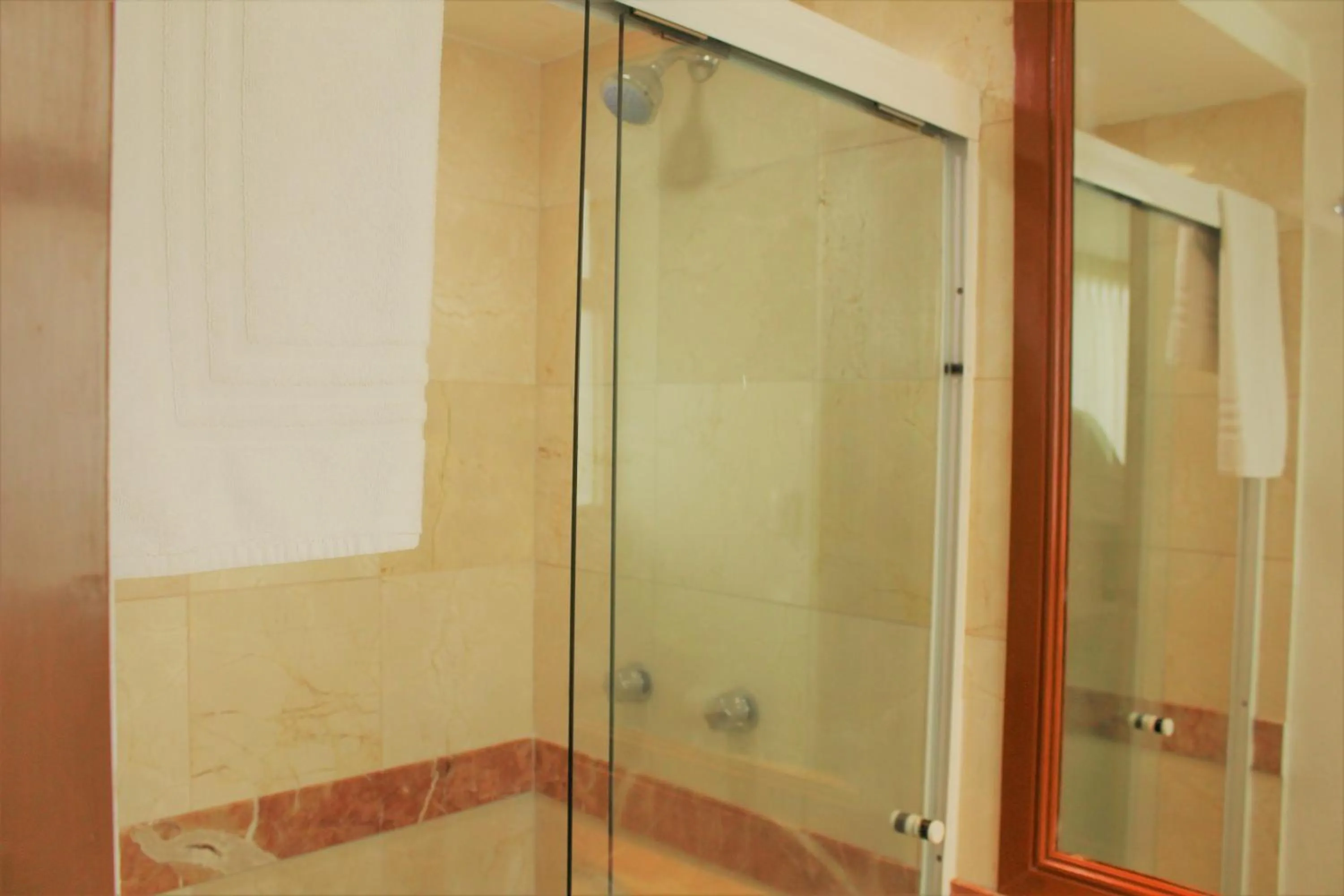 Shower in Condesa Suites