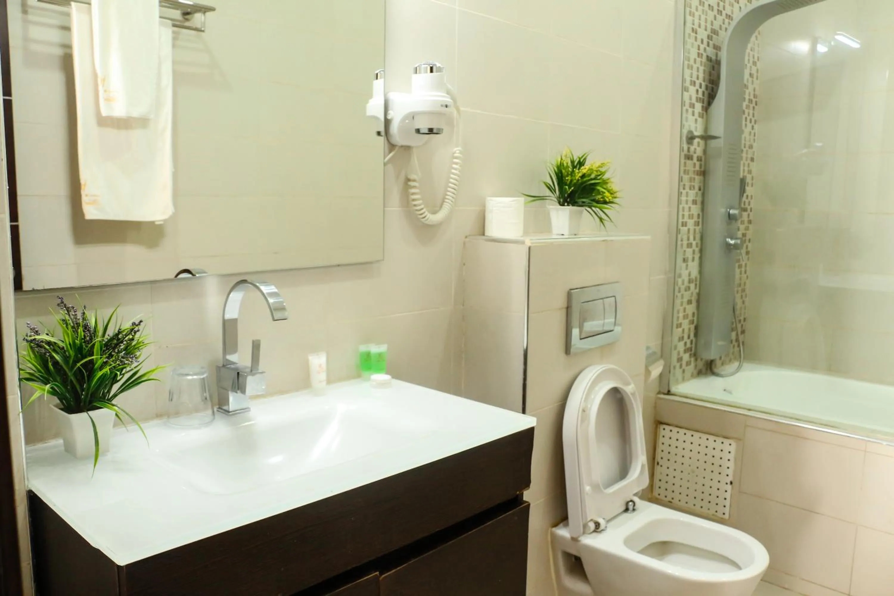 Shower in HOTEL COLONIA