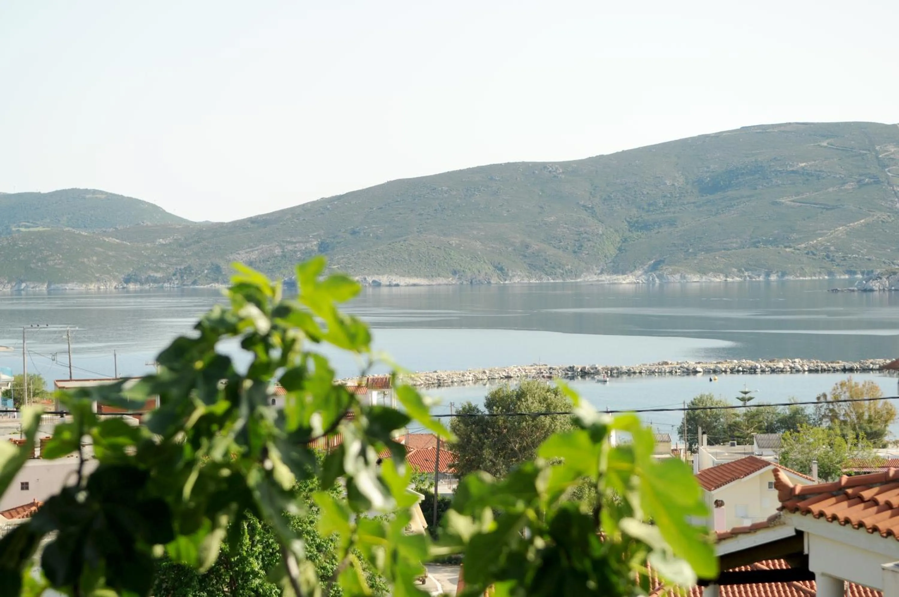 Day in Triantafilia Guesthouse