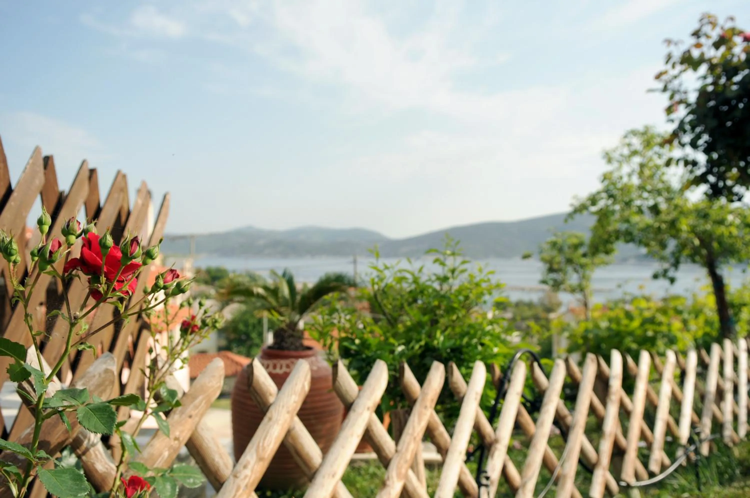 Spring in Triantafilia Guesthouse