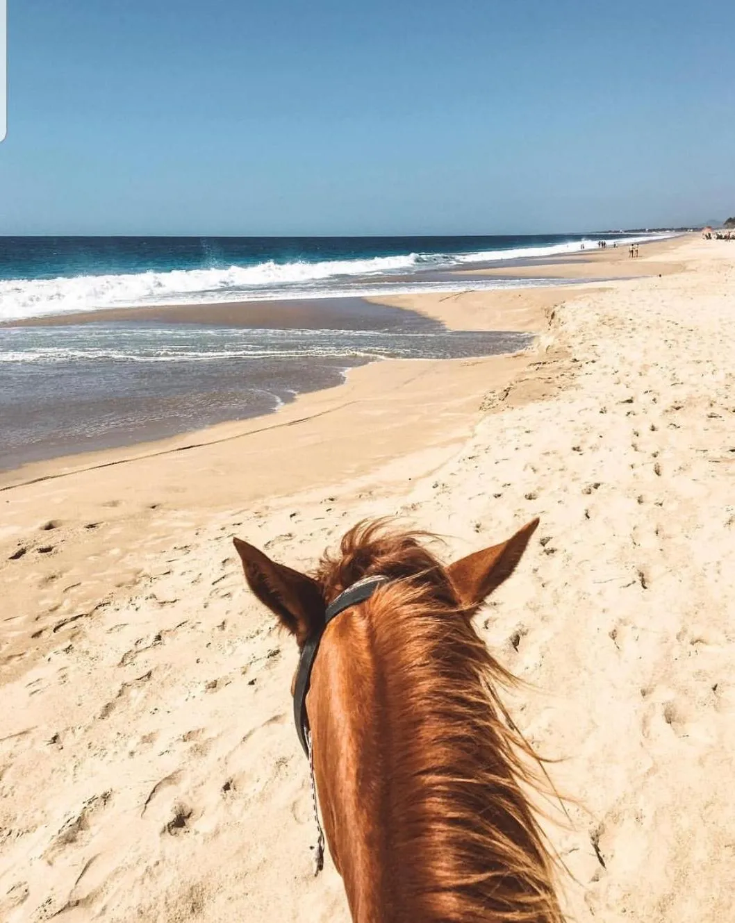 Bungalows Las Brisas Acapulco
