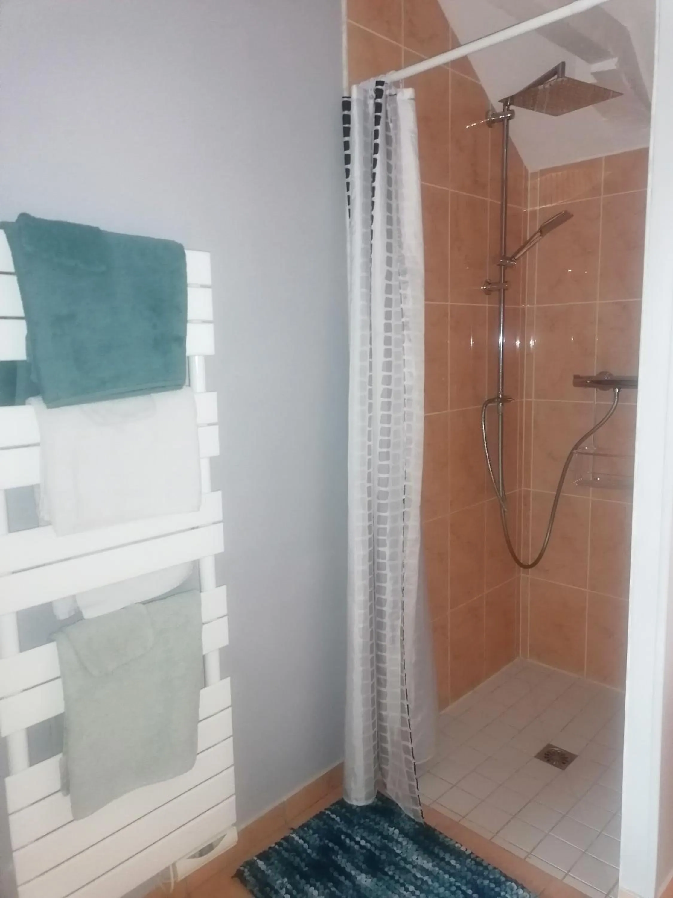 Shower in La Parisiere