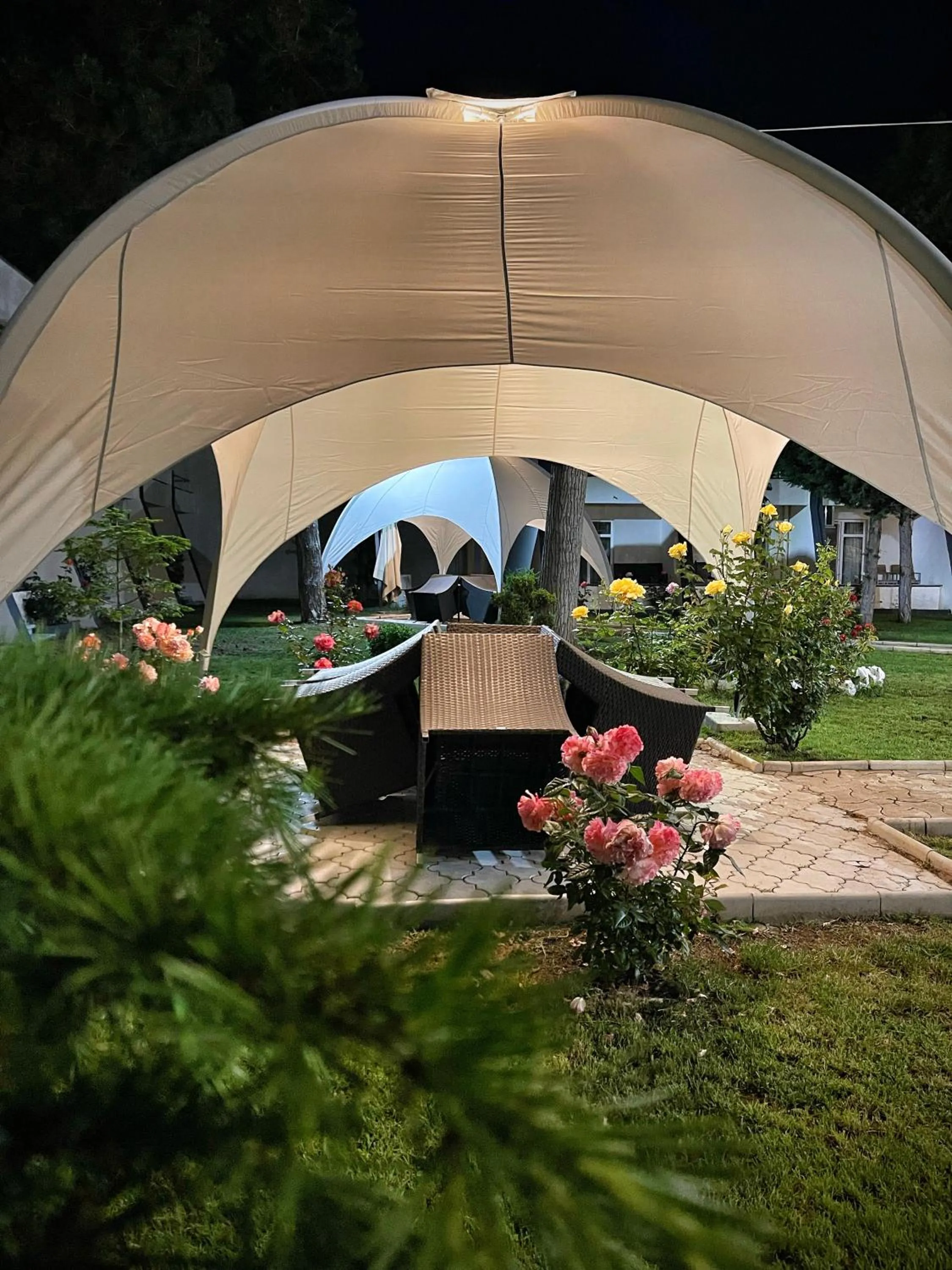 Garden in Voila Mamaia