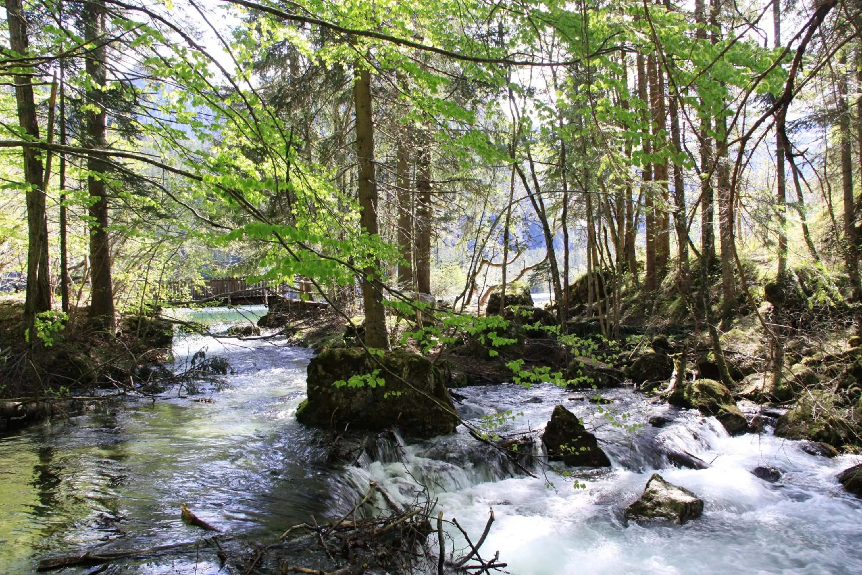 Area and facilities in Garni Biancaneve Ruffrè-Mendola