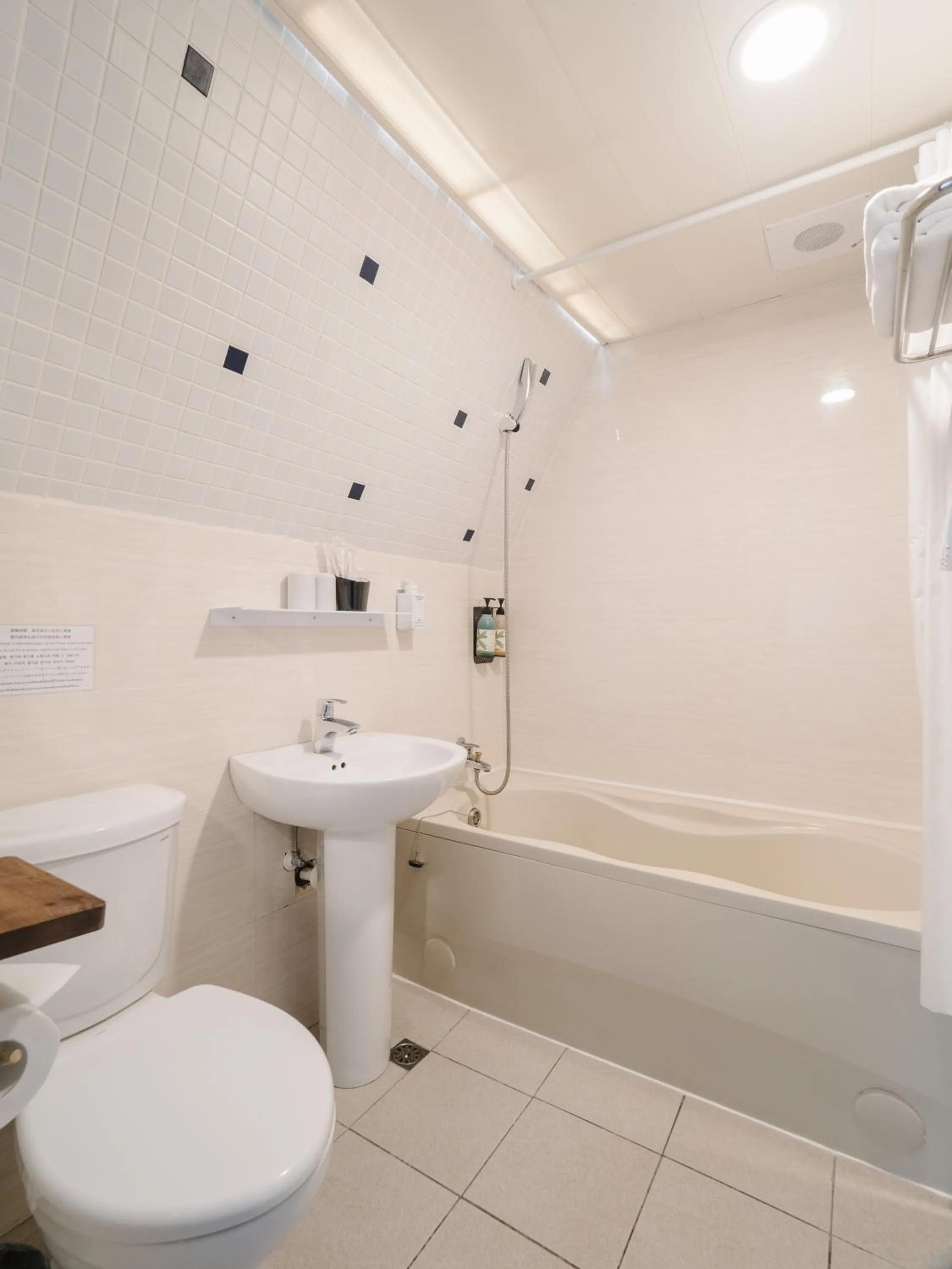 Bathroom in Hotel attic