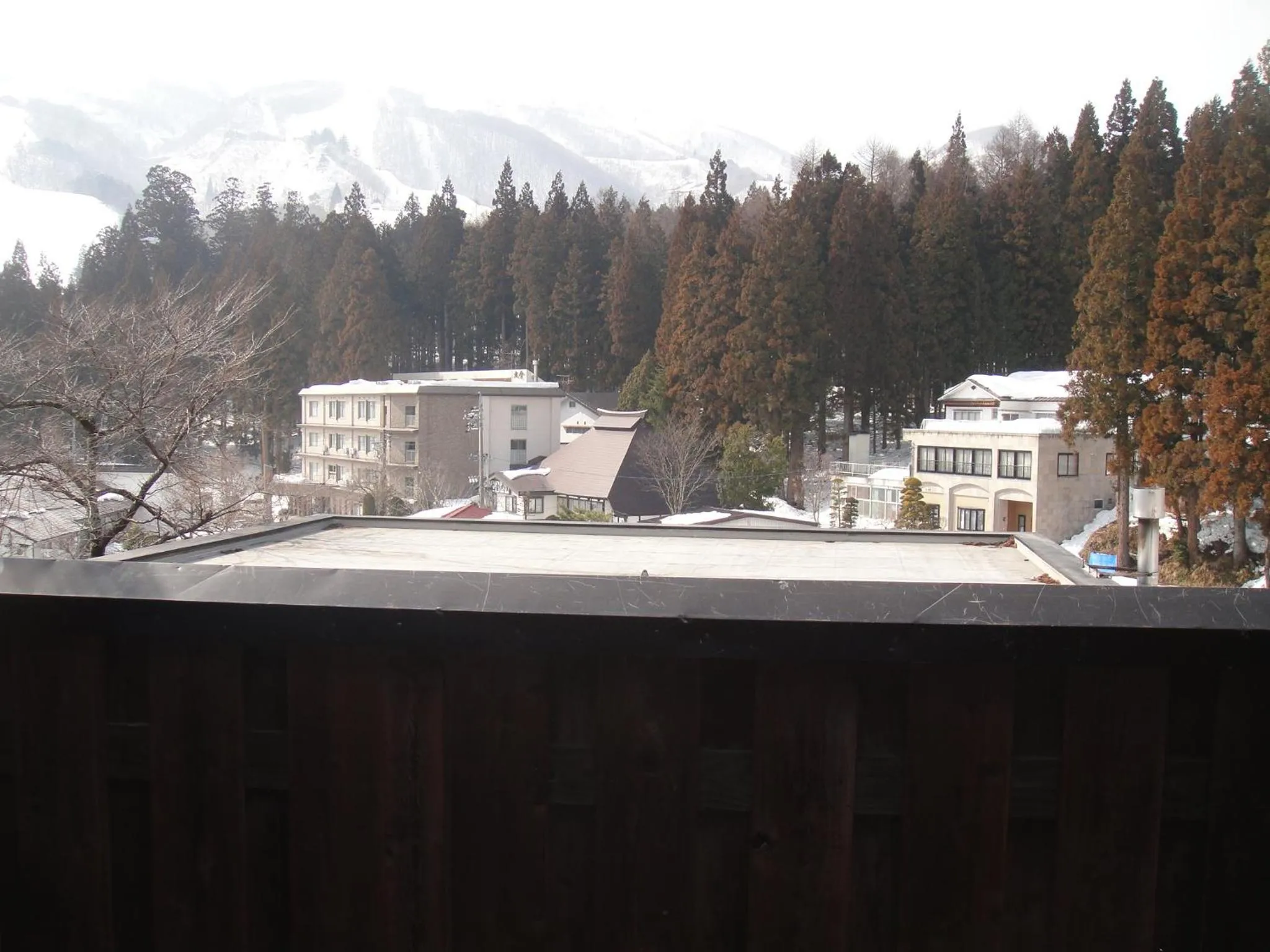 View (from property/room) in Hakuba Hotel Hana-no-Sato