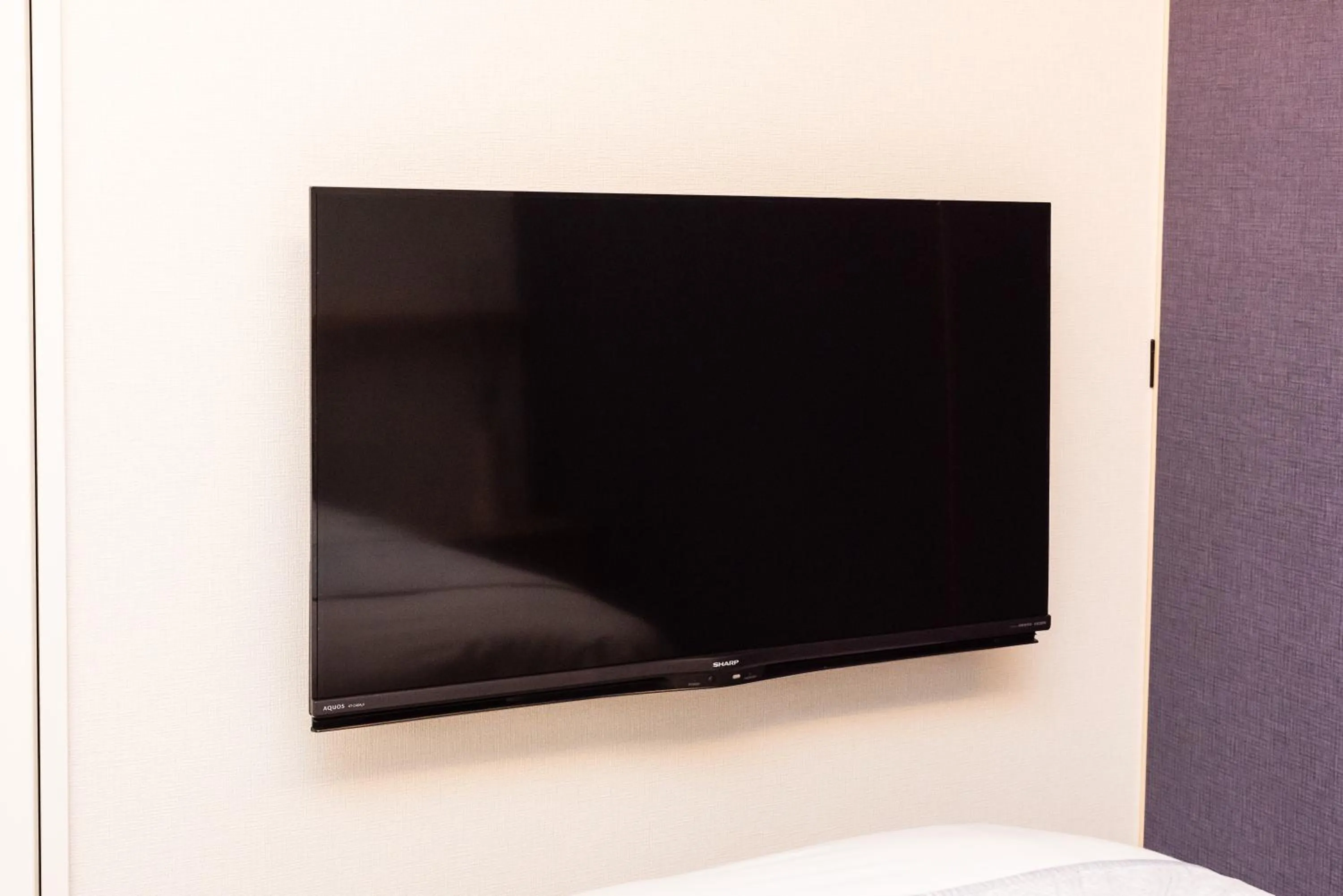 TV and multimedia in Guest Villa Hakone Yumoto RiverSide