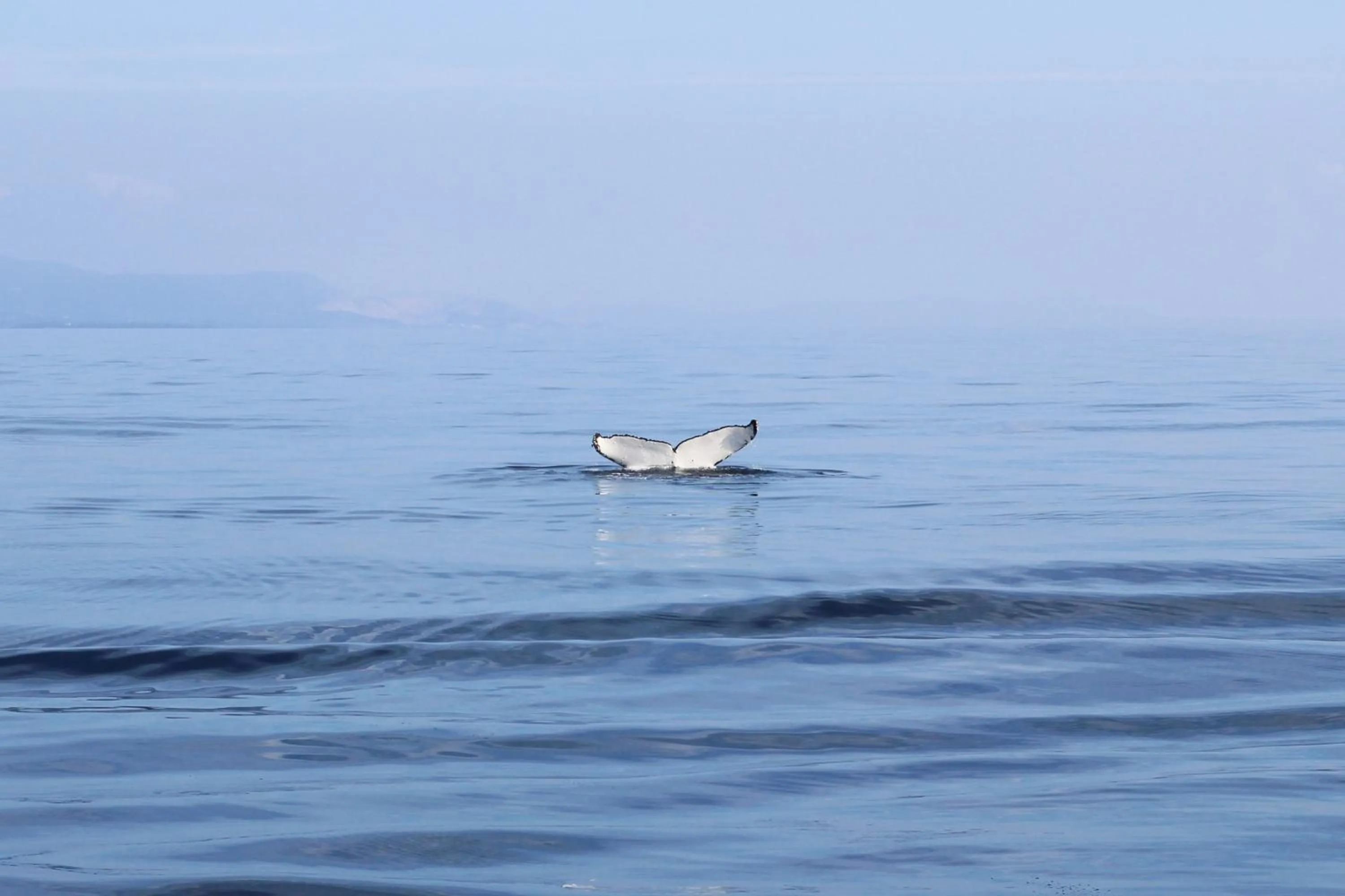 Natural landscape in HOPE VILLA ONNASON