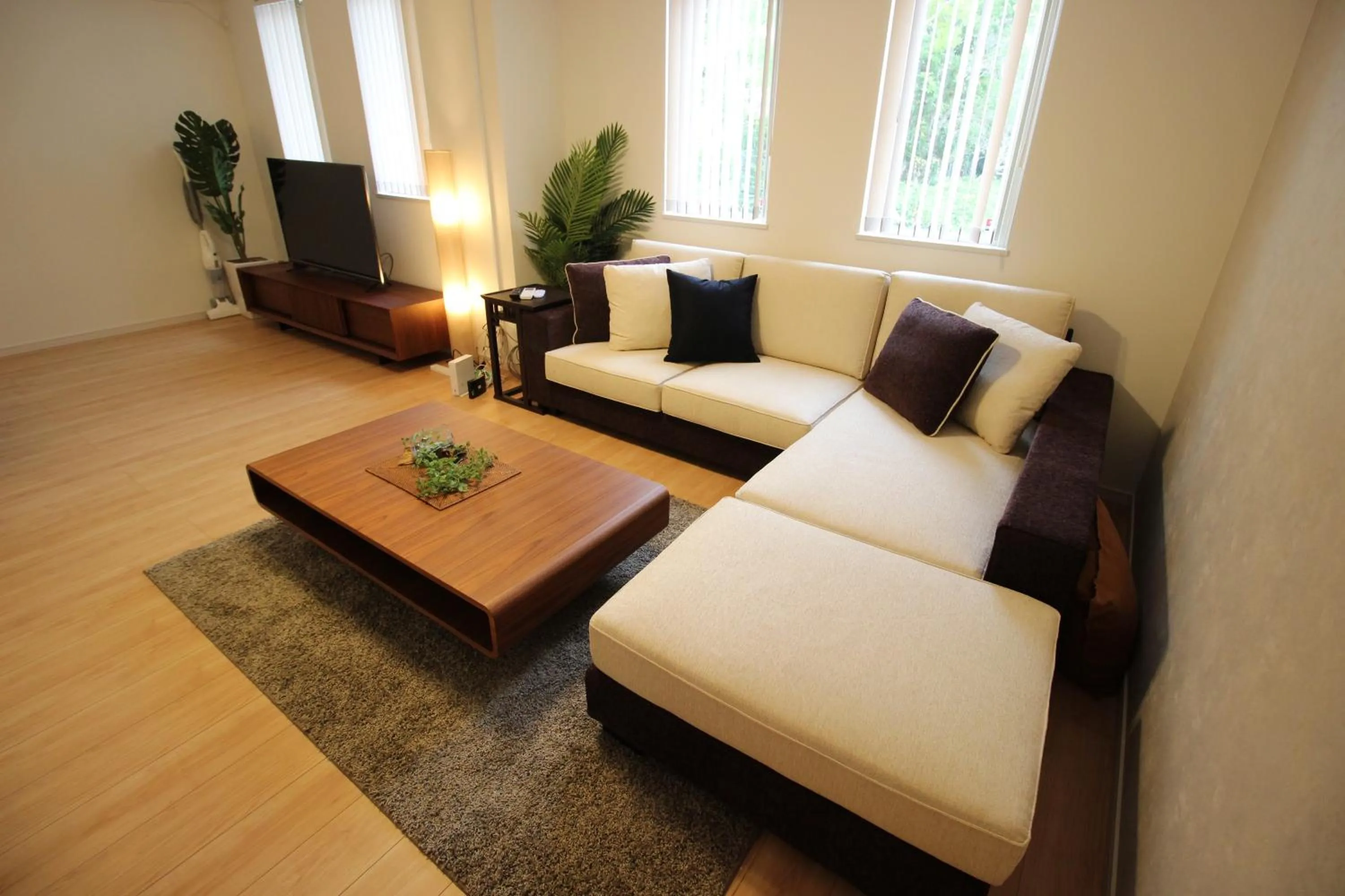 TV and multimedia in HOPE VILLA ONNASON