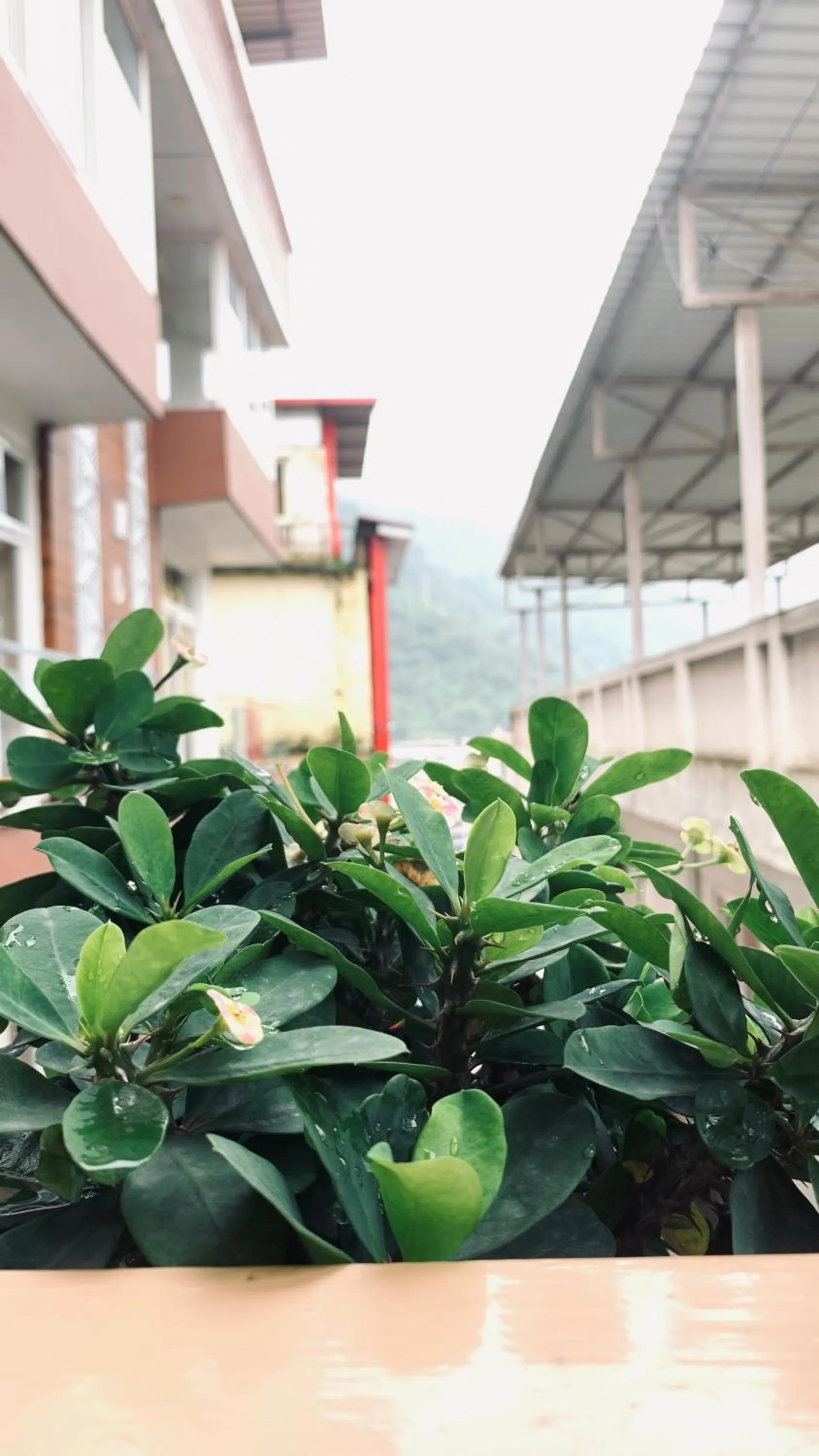 Property building in Rudram Hotel Yoga & Ayurveda Retreat