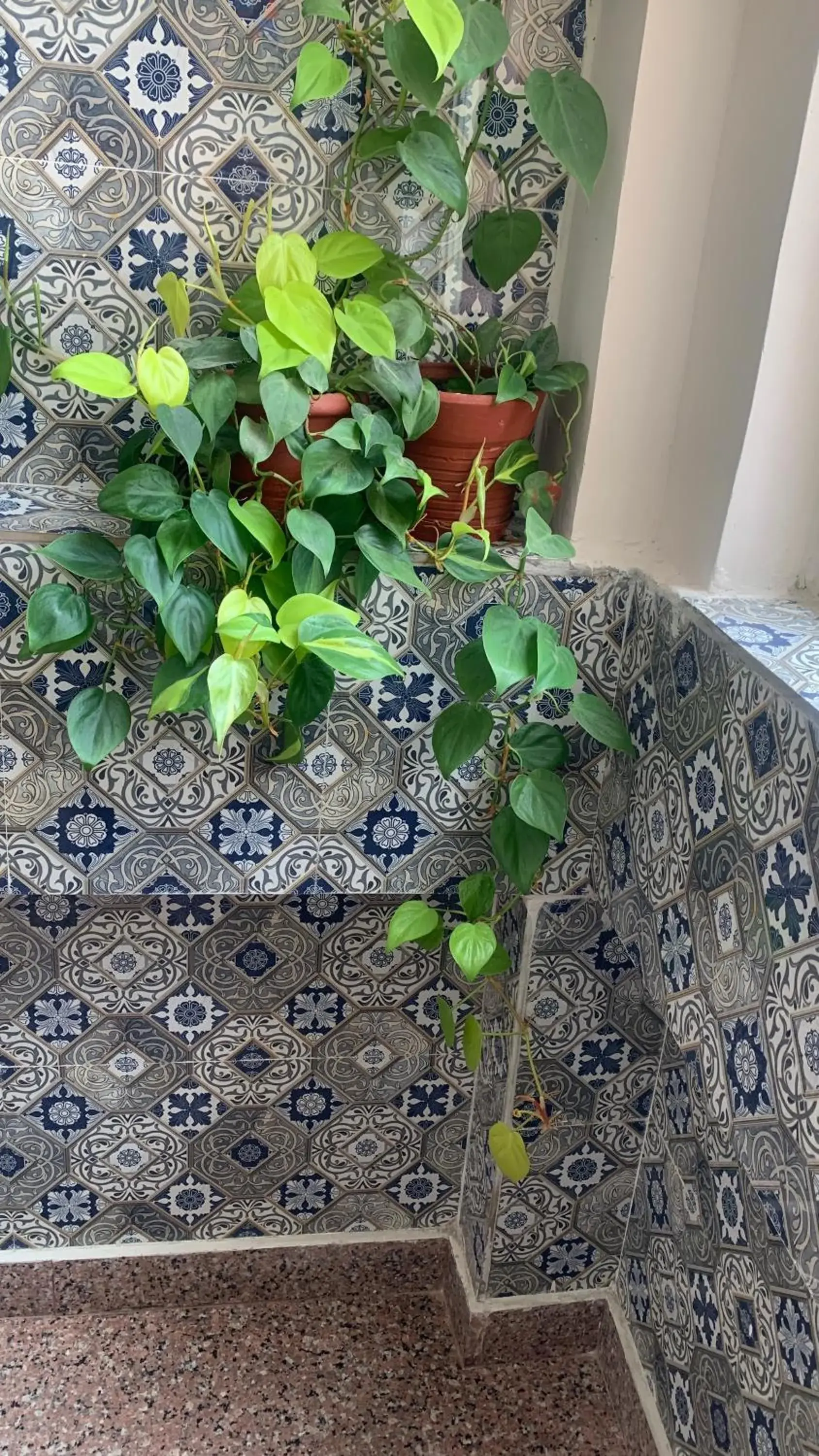 Property building in Rudram Hotel Yoga & Ayurveda Retreat Property building in Rudram Hotel Yoga & Ayurveda Retreat