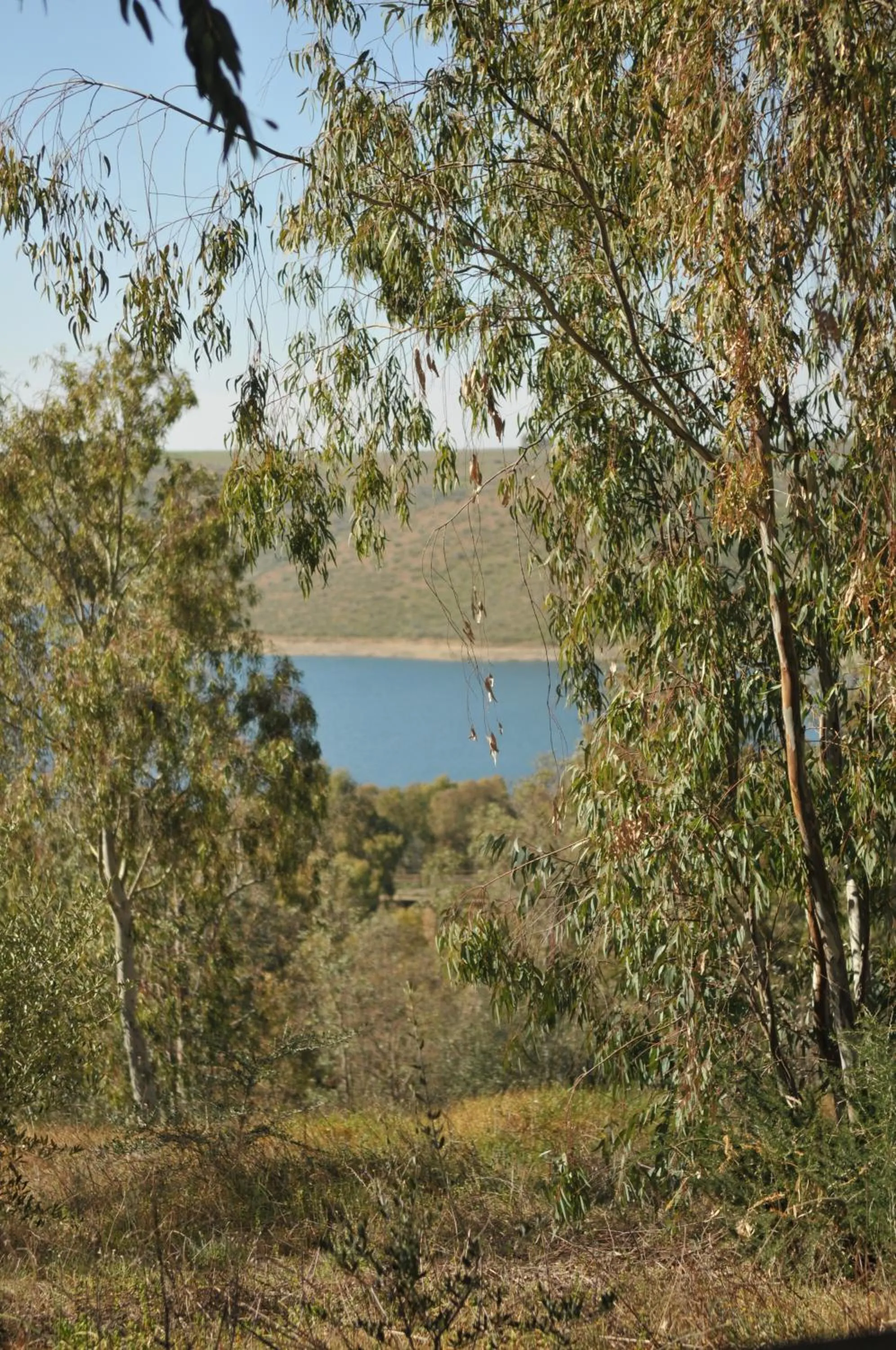 View (from property/room) in Casa Rural Casa de las Aves
