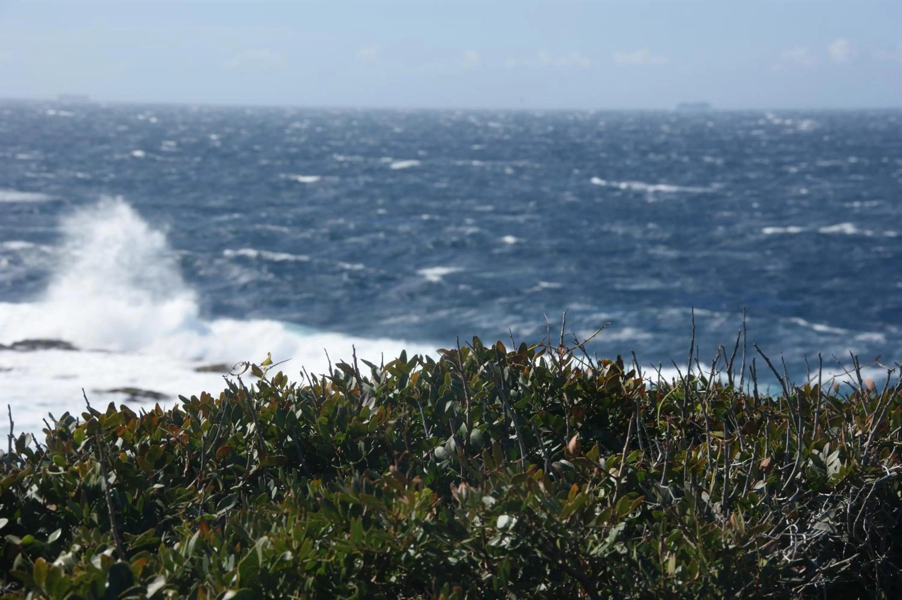 Off site in Auberge des Glycines