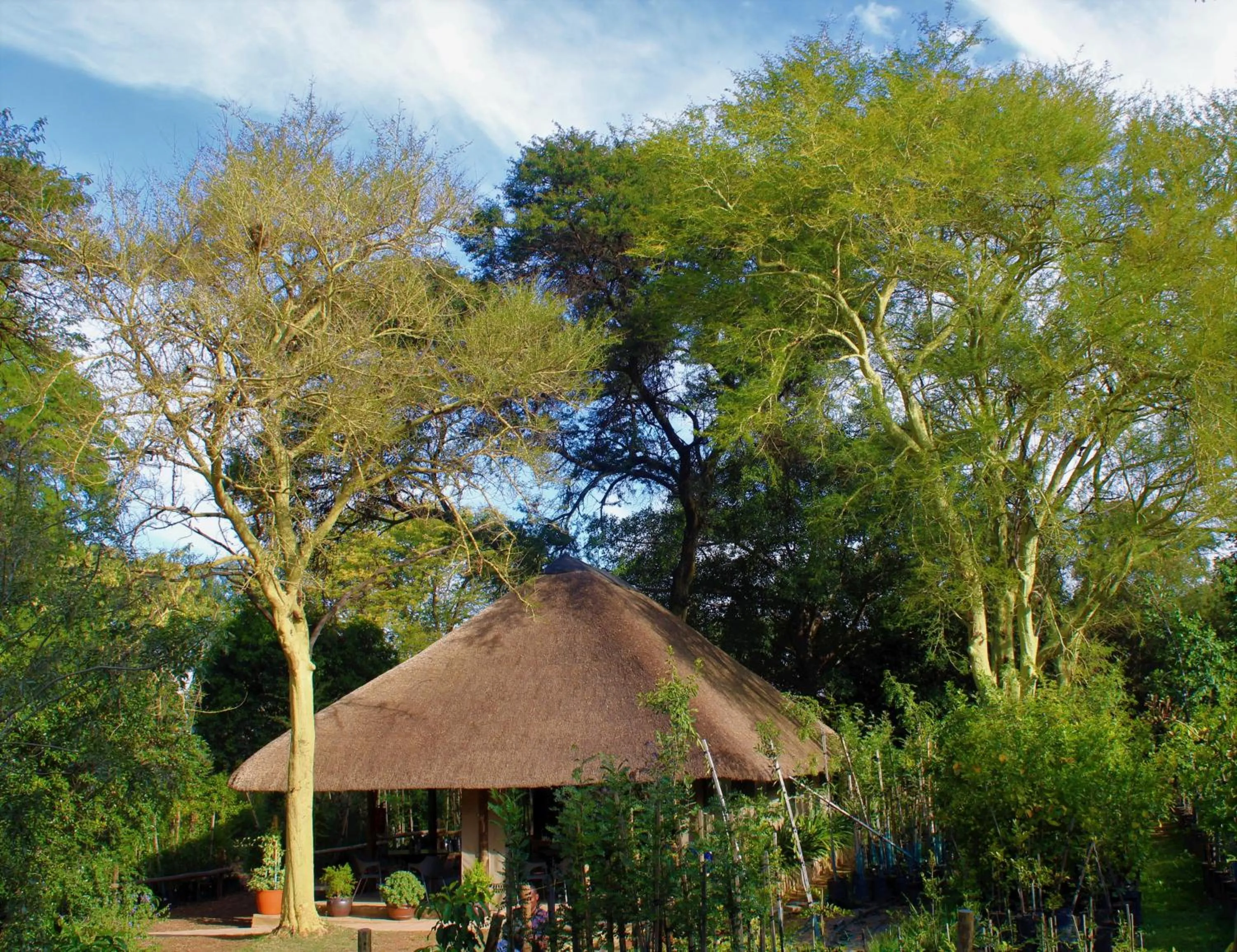 Garden view in Random Harvest Country Cottages