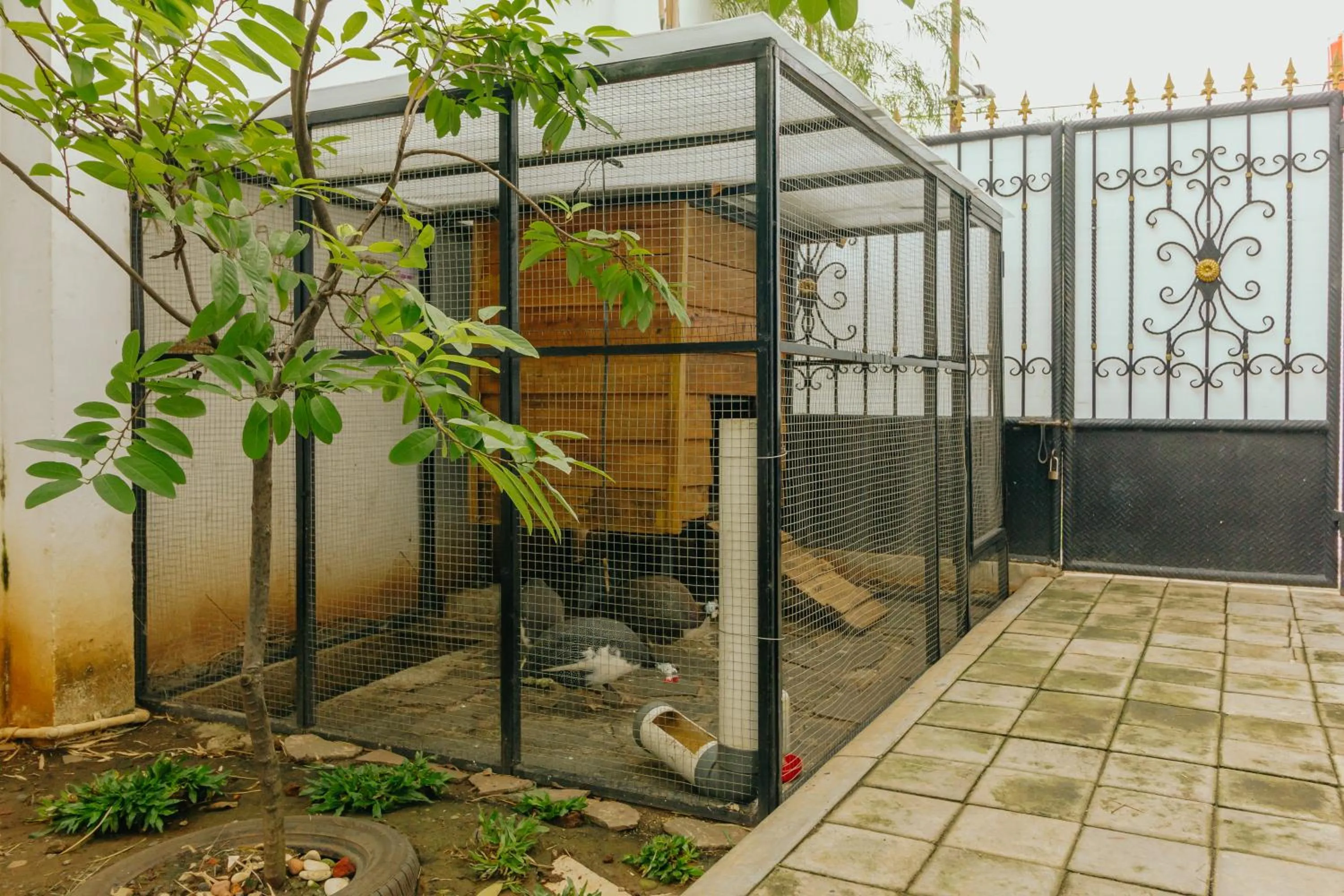 Animals in Urbanest Inn House Slipi