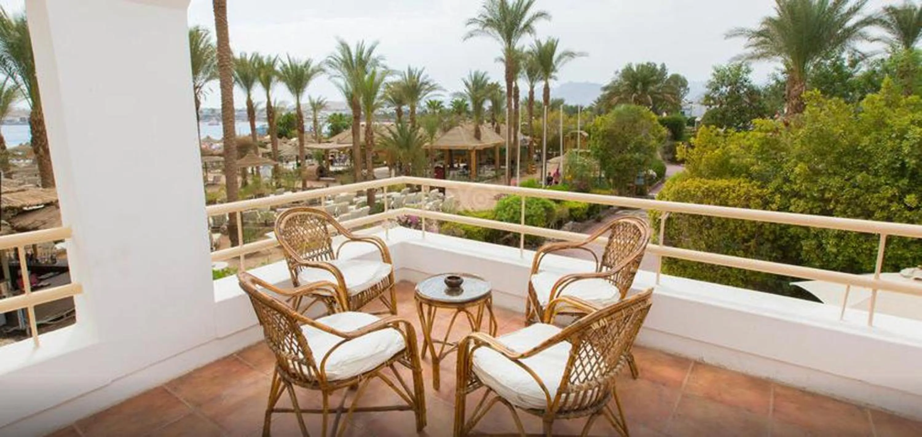 Day in Oonas Dive Club