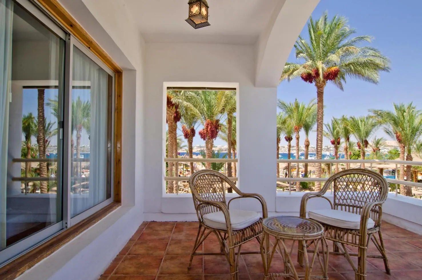 Day in Oonas Dive Club