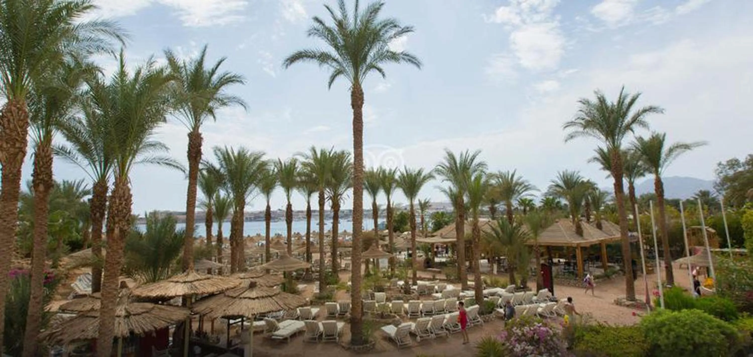 Day in Oonas Dive Club