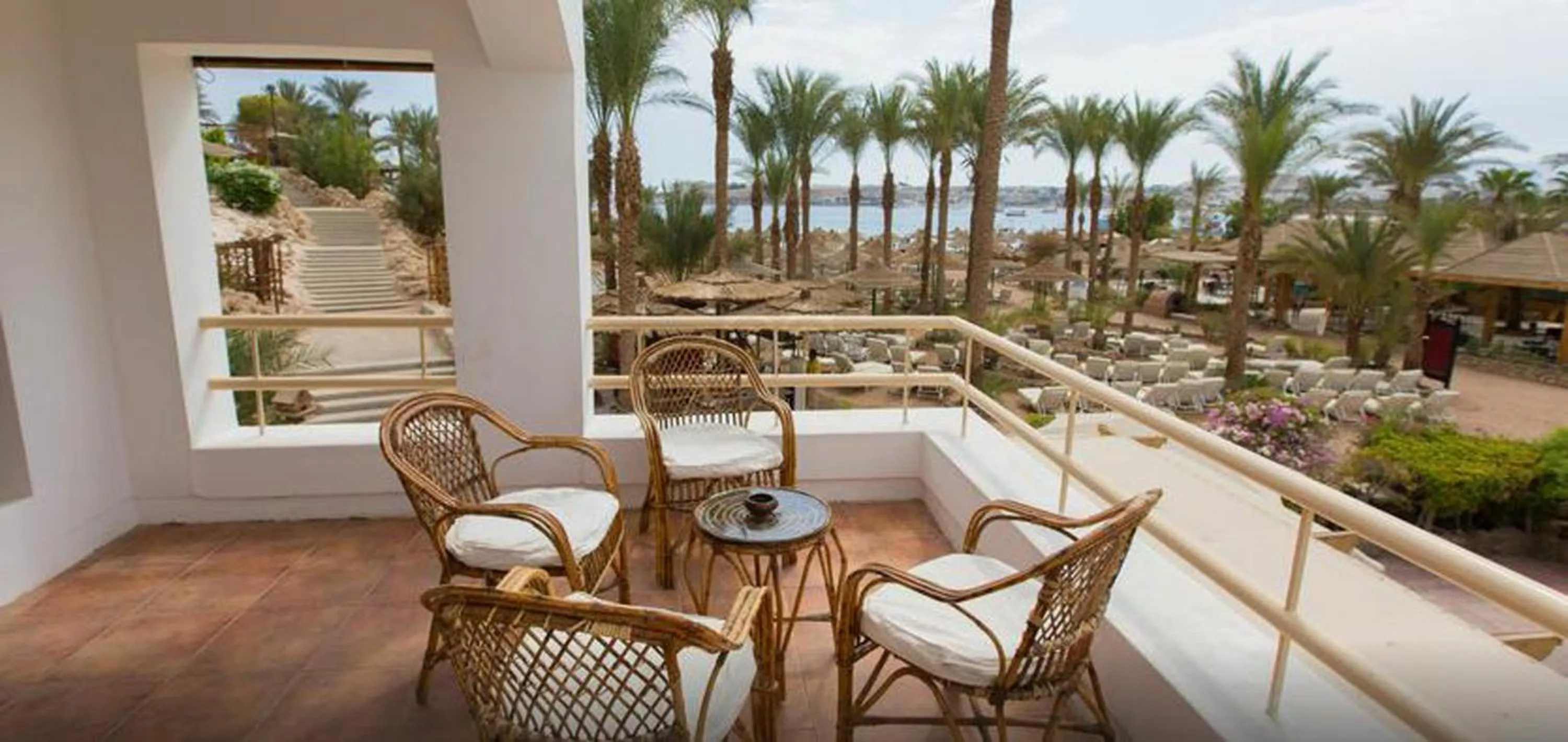 Day in Oonas Dive Club