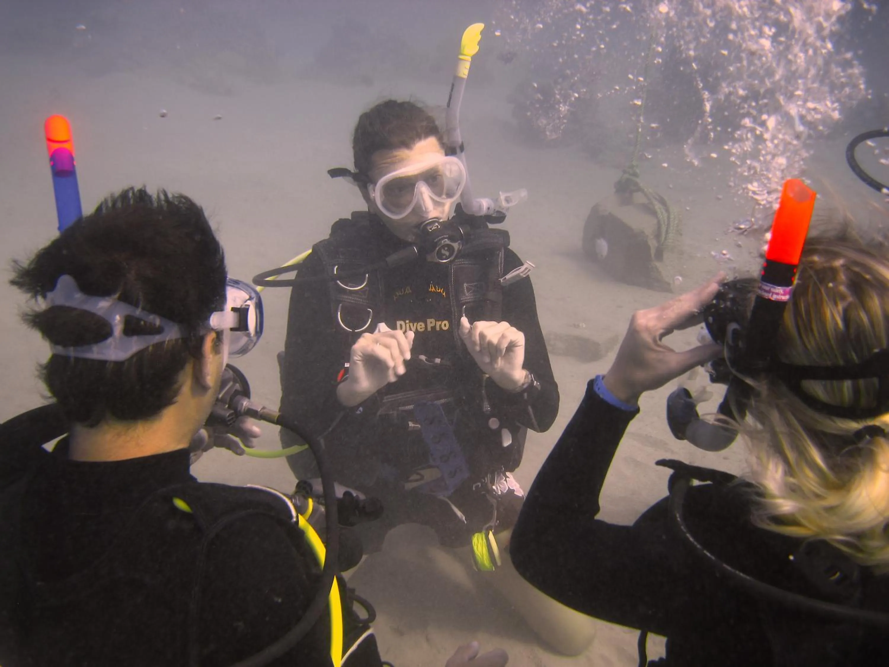 Diving in Oonas Dive Club