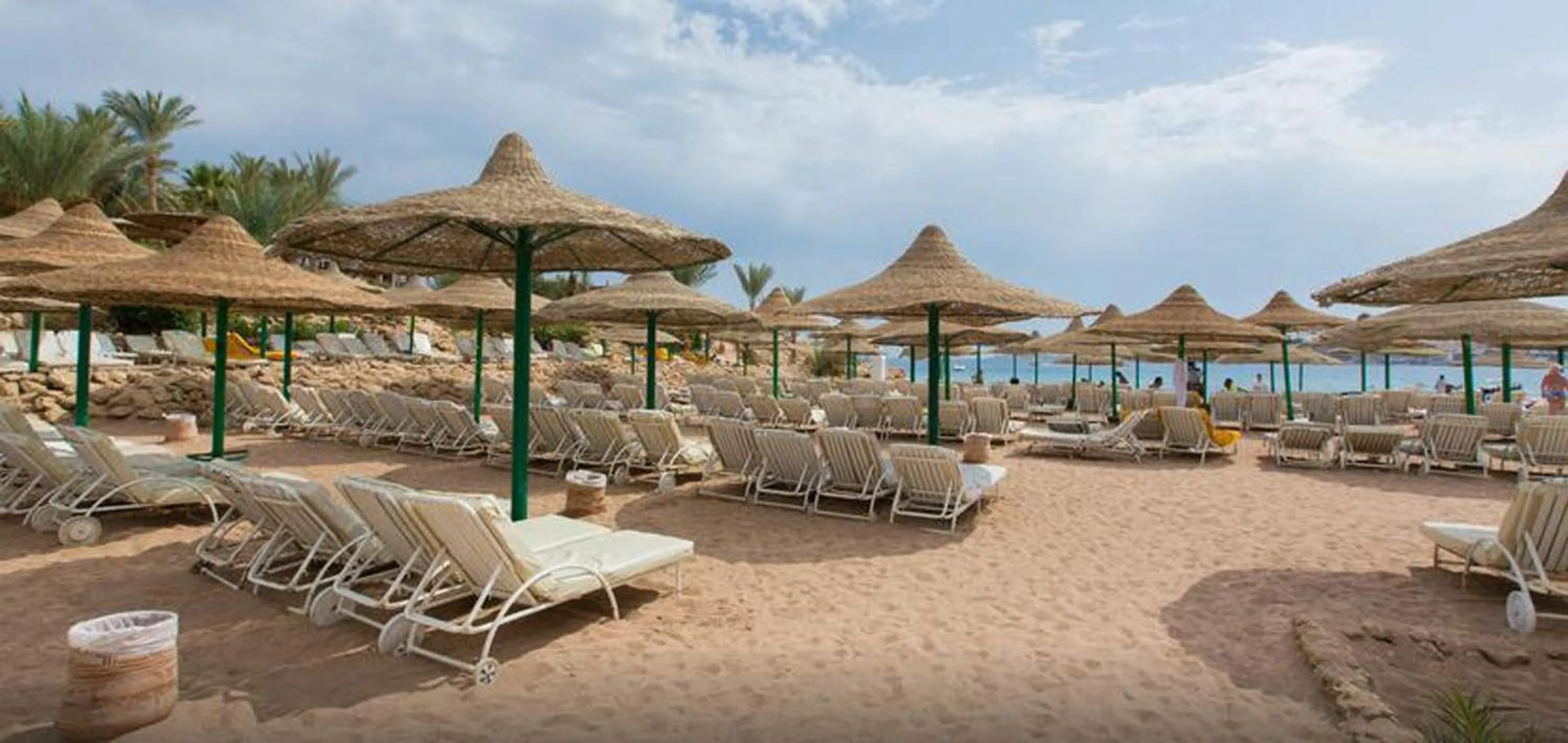 Day in Oonas Dive Club