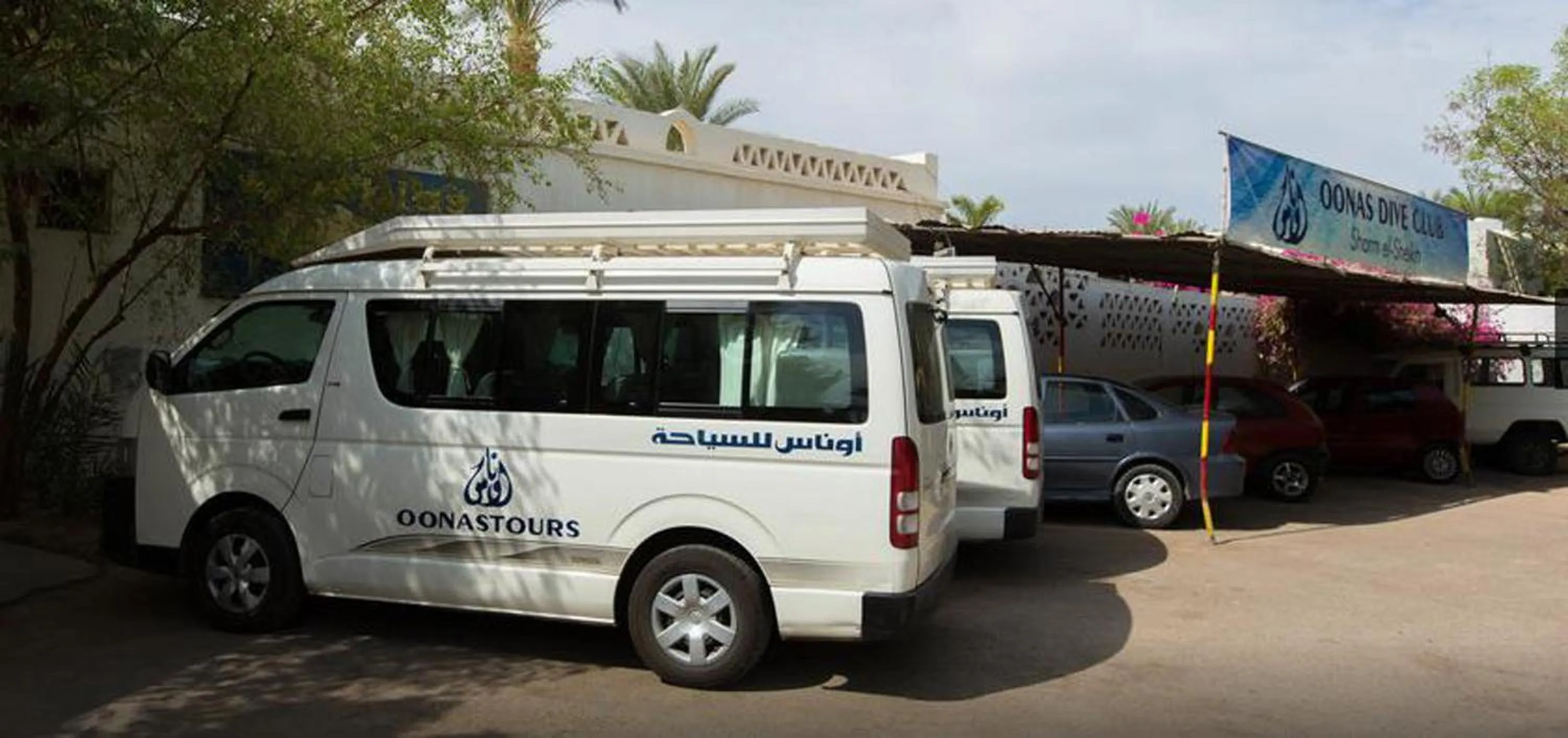 Day in Oonas Dive Club