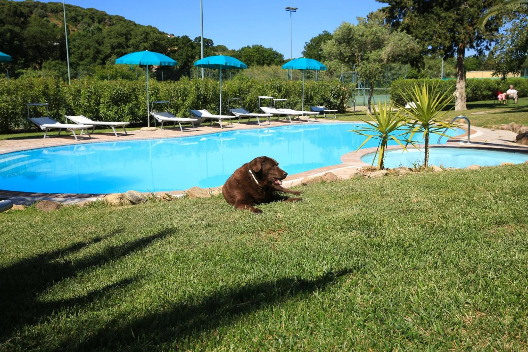 Pets in Alghero Resort Country Hotel & Spa