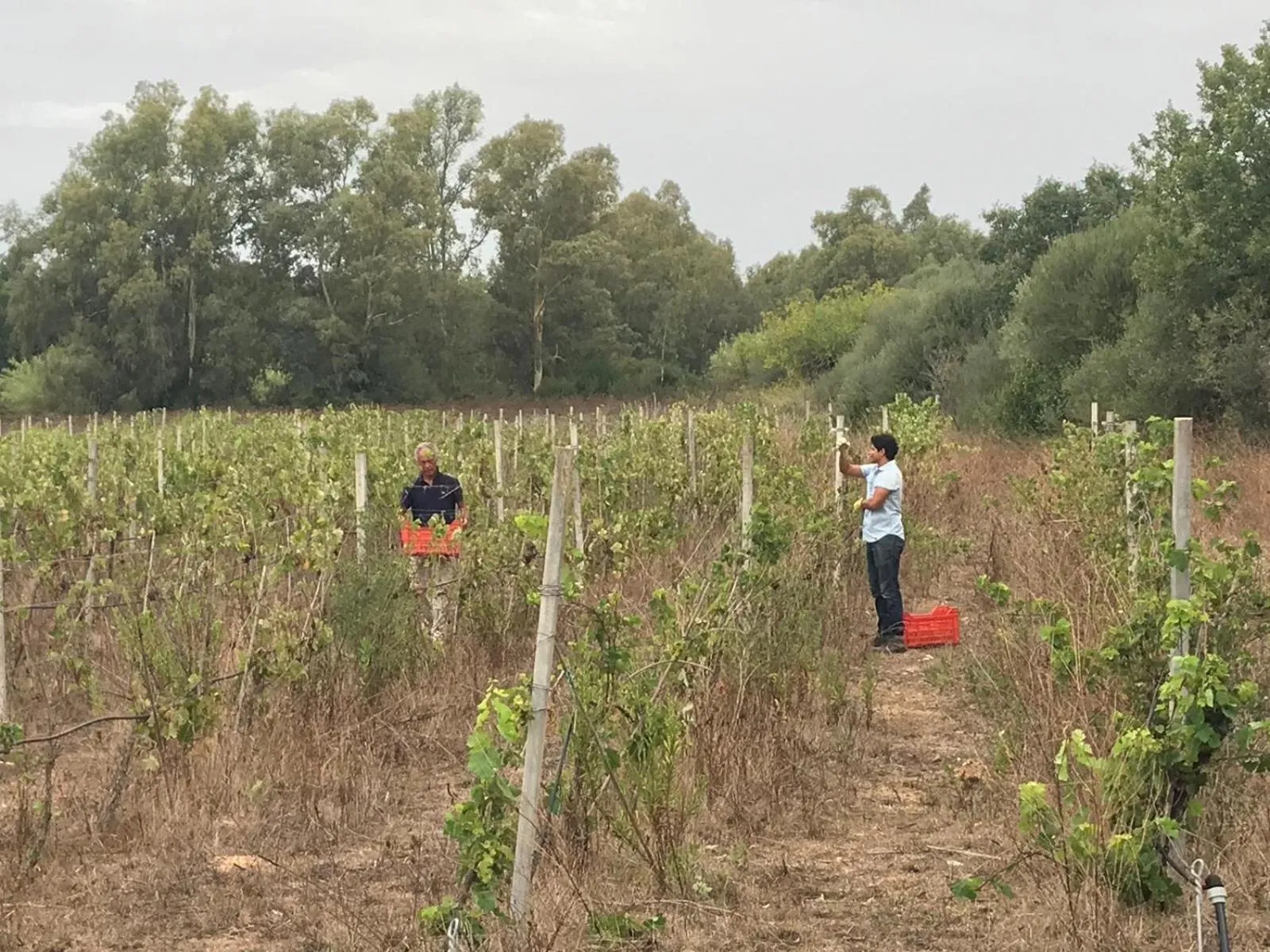 Activities in Alghero Resort Country Hotel & Spa