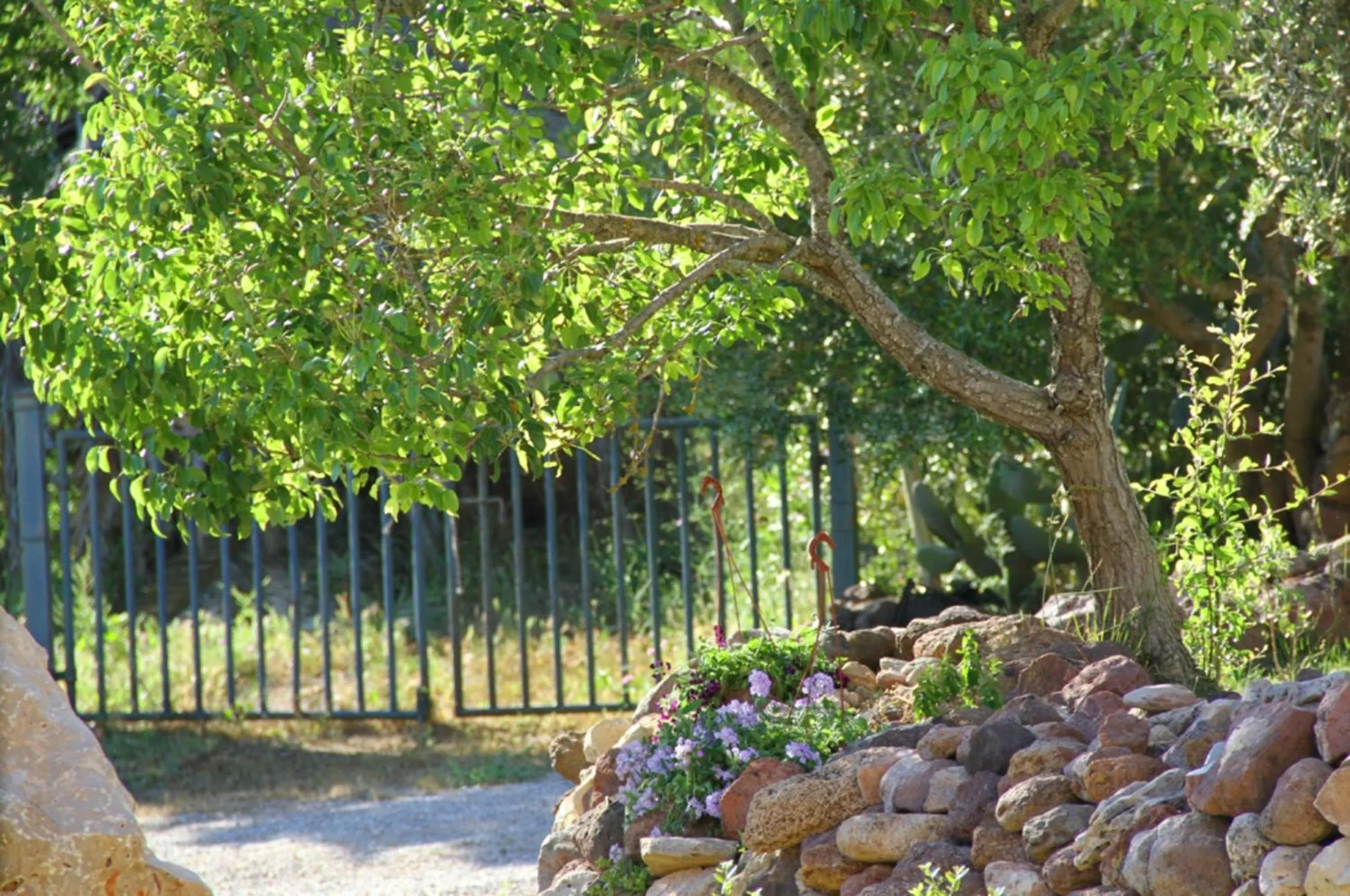 Other in Alghero Resort Country Hotel & Spa