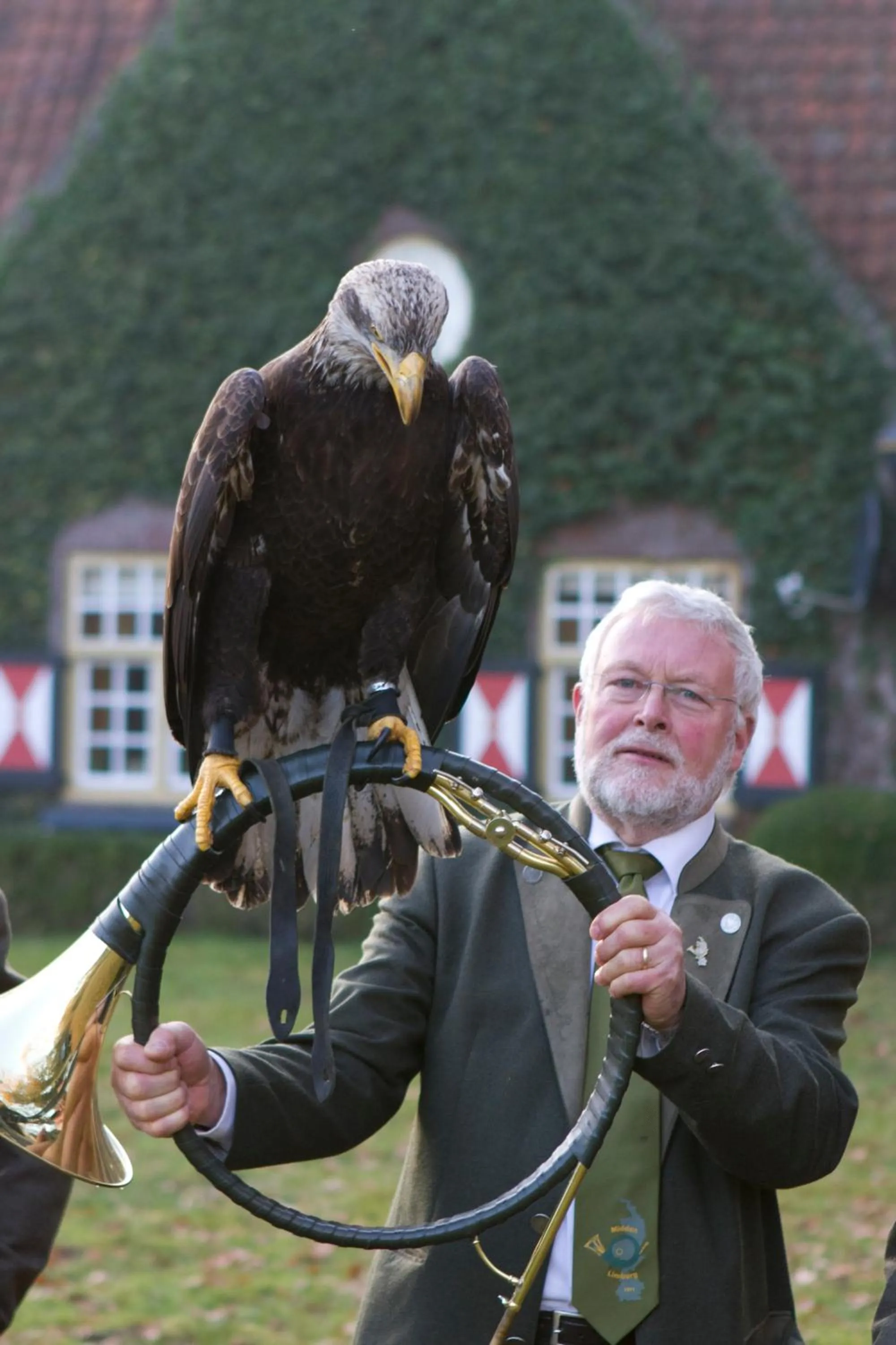 Activities in De Hoge Peel