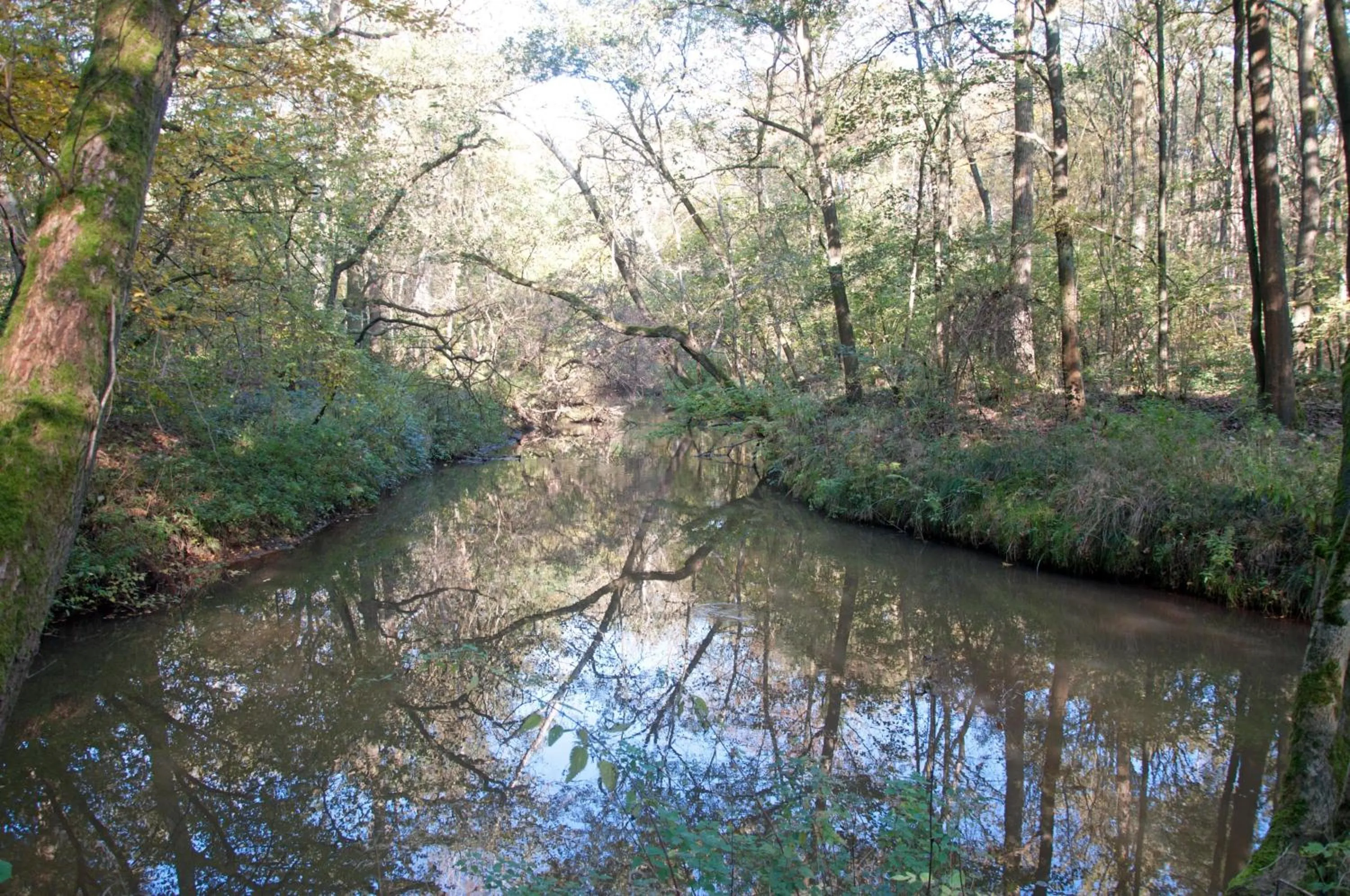Summer in De Hoge Peel