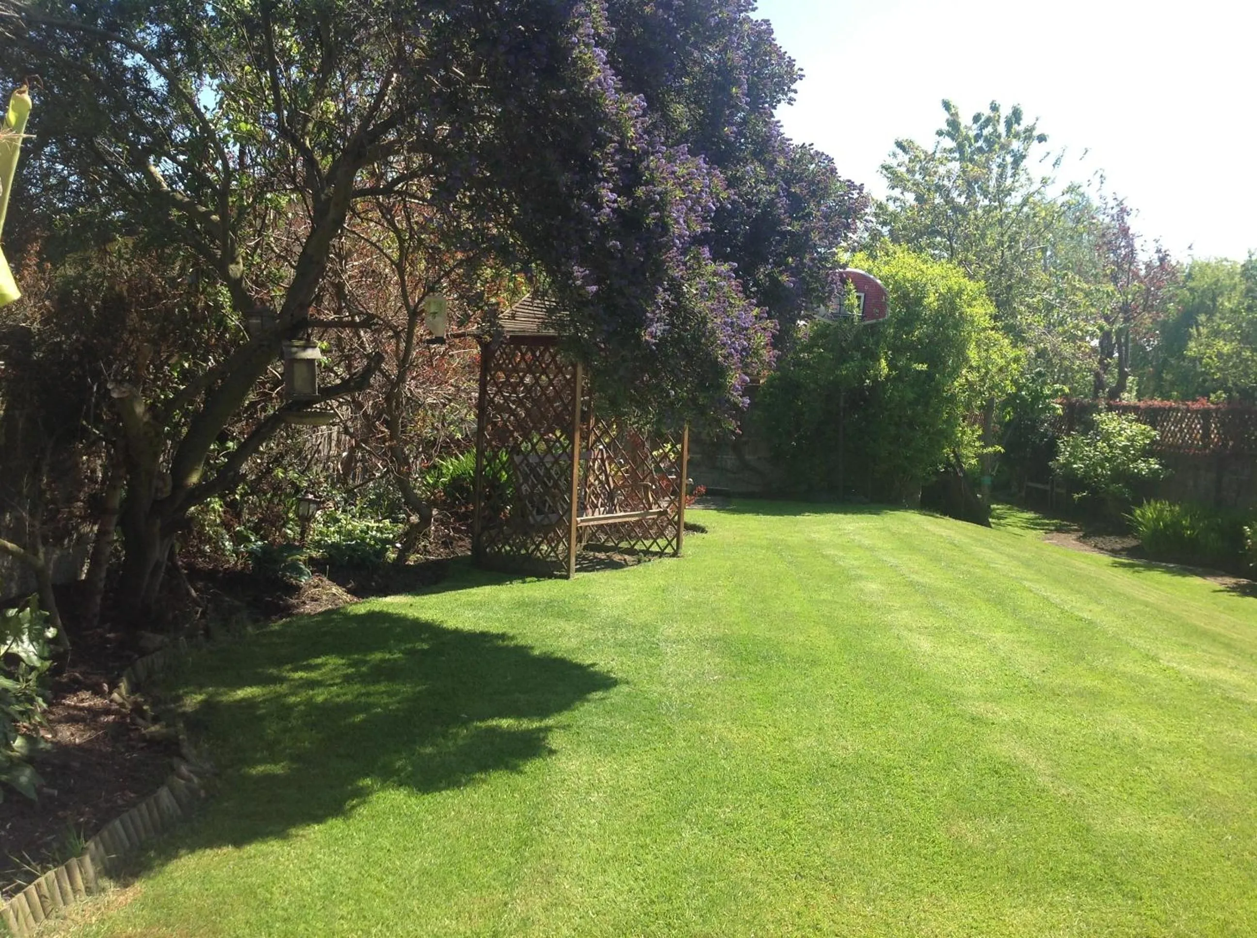 Garden in Annandale House