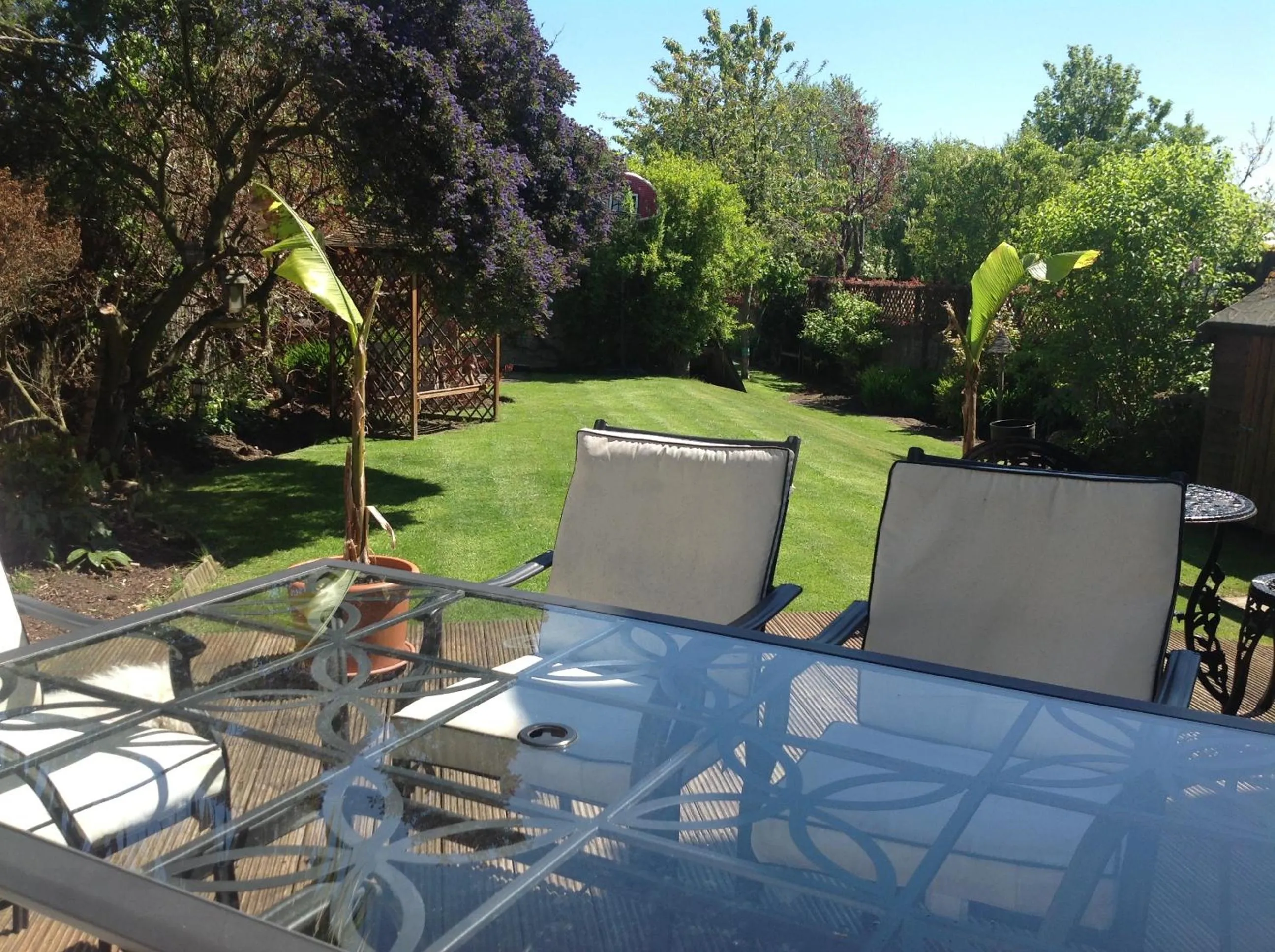 Garden in Annandale House