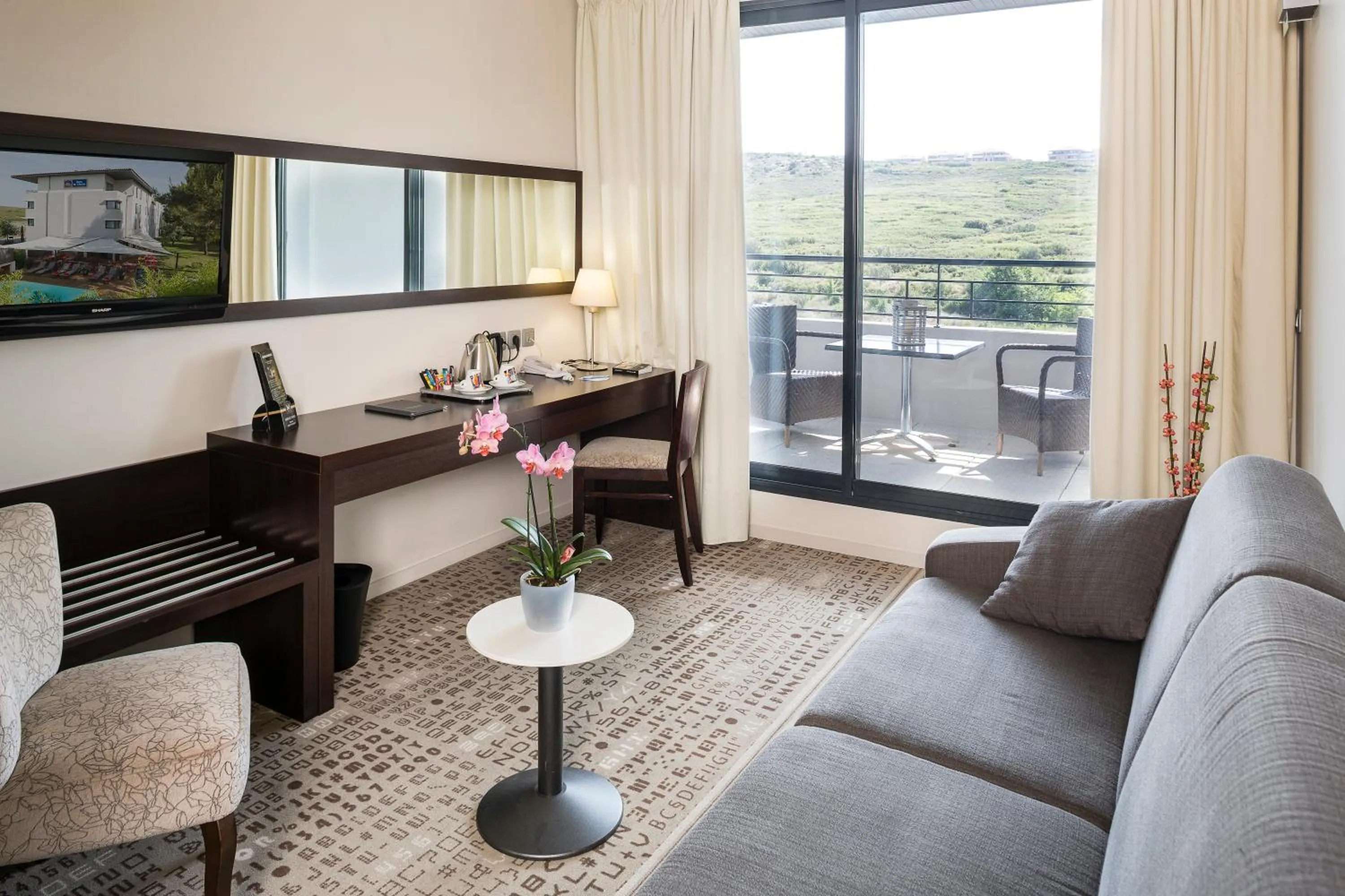 TV and multimedia in Mercure Aix-en-Provence La Duranne Gare TGV