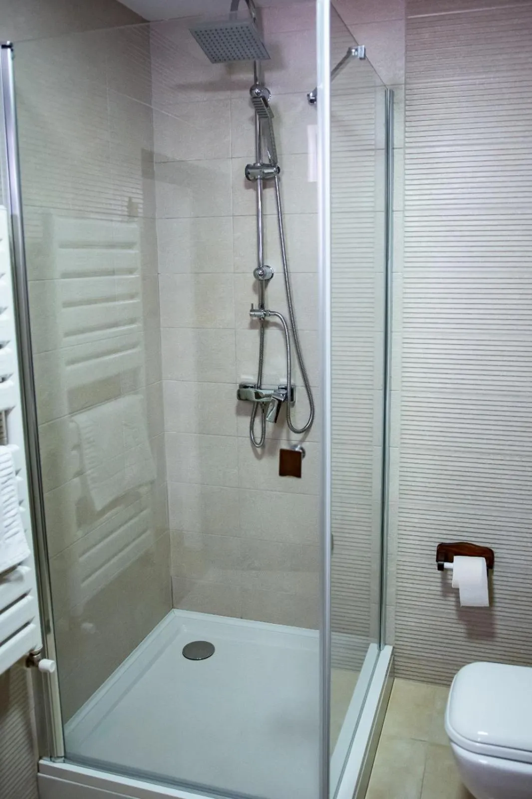 Shower in Hotel THR Center