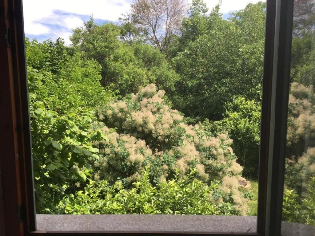 Budapest Garden Hostel - Age limit 39