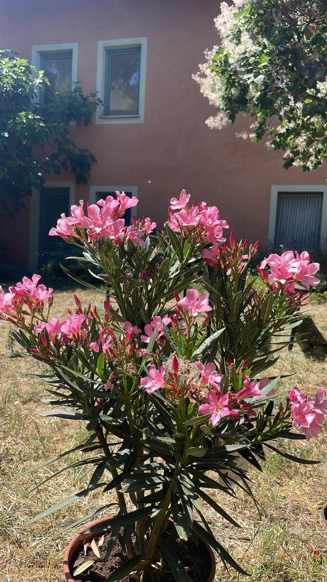 Budapest Garden Hostel - Age limit 39