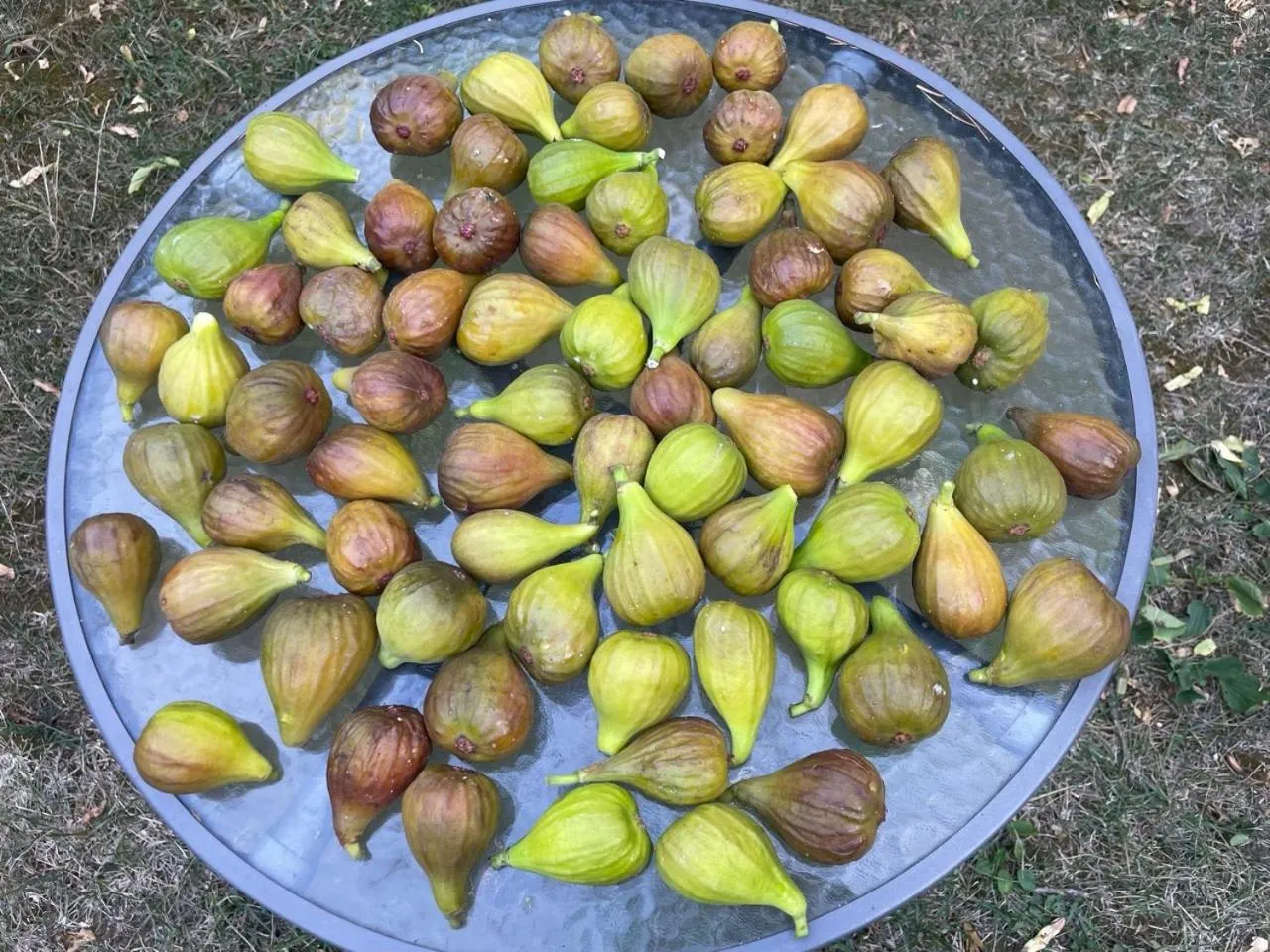 Natural landscape in Budapest Garden Hostel - Age limit 39