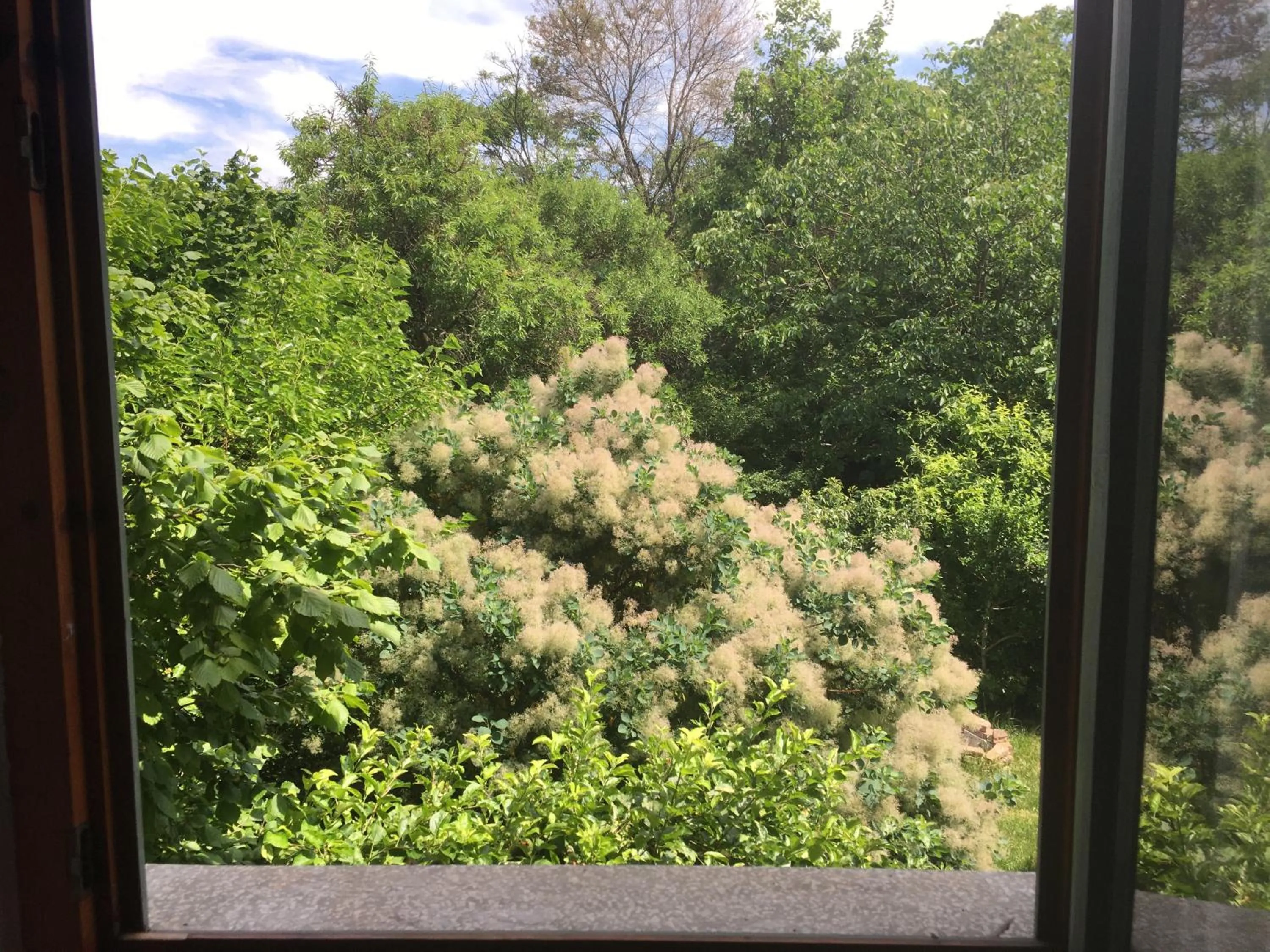 Garden view in Budapest Garden Hostel - Age limit 39