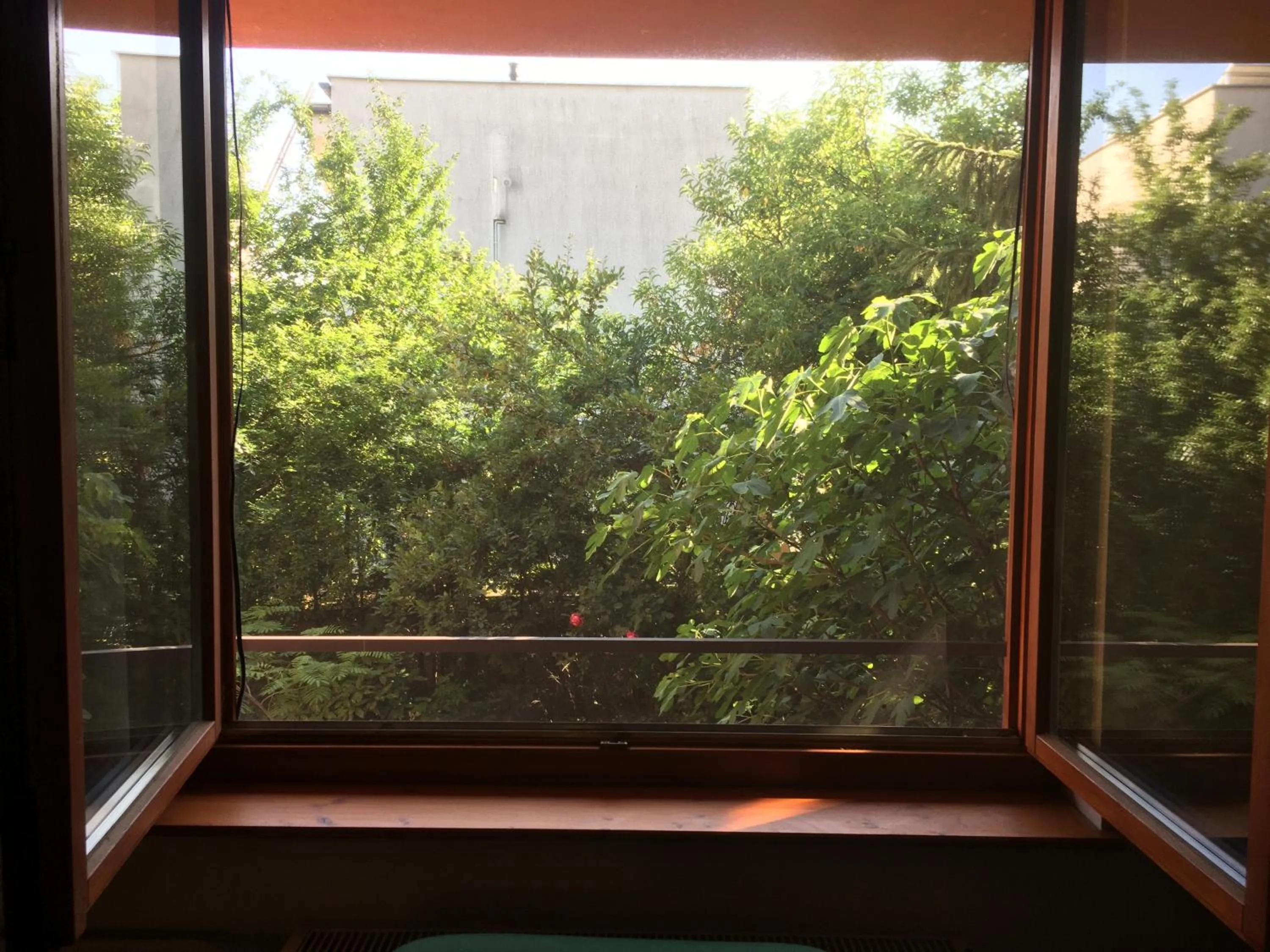 Garden view in Budapest Garden Hostel - Age limit 39