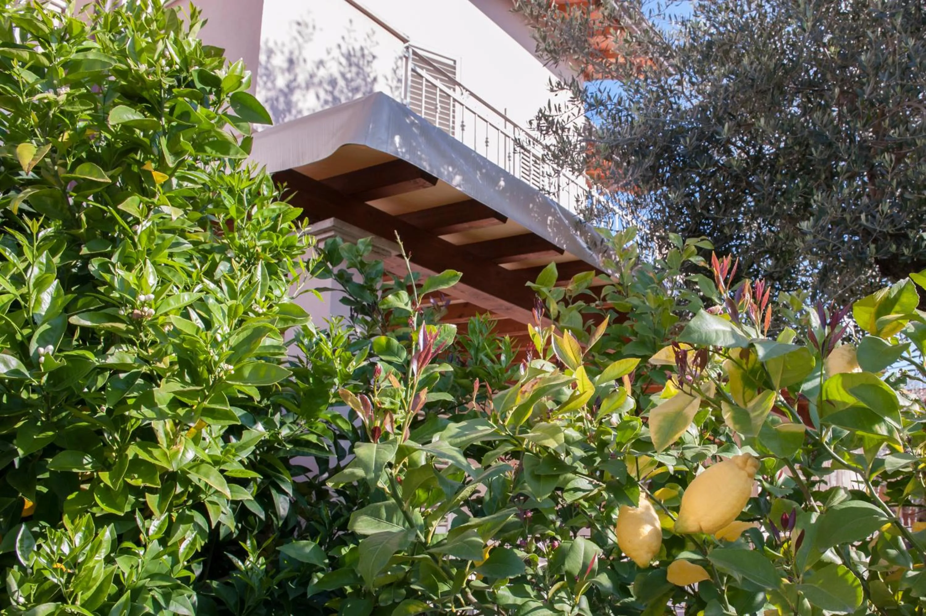 Facade/entrance in B&B Alle Tre Rose