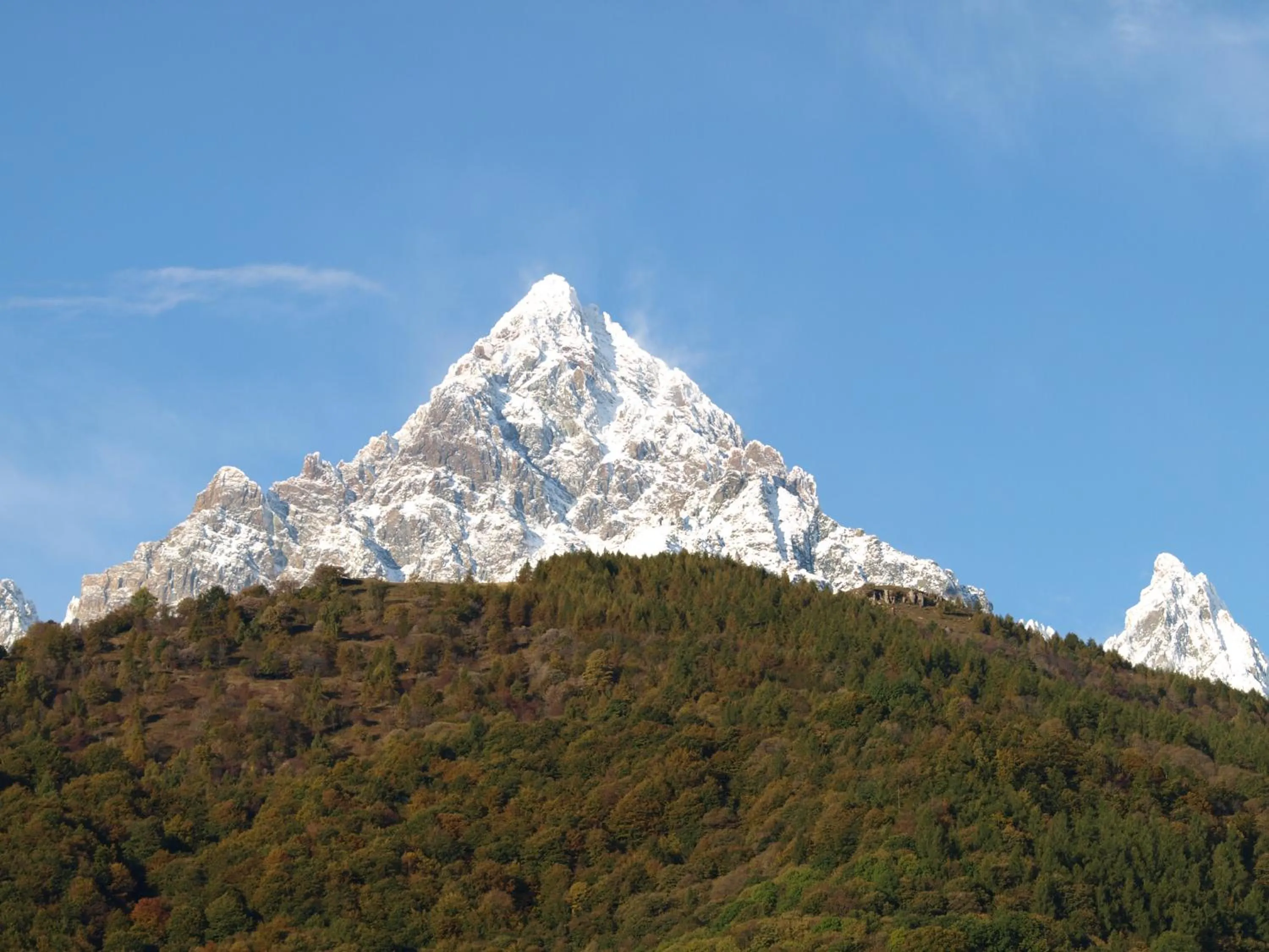 Photo of the whole room in B.&.B 44