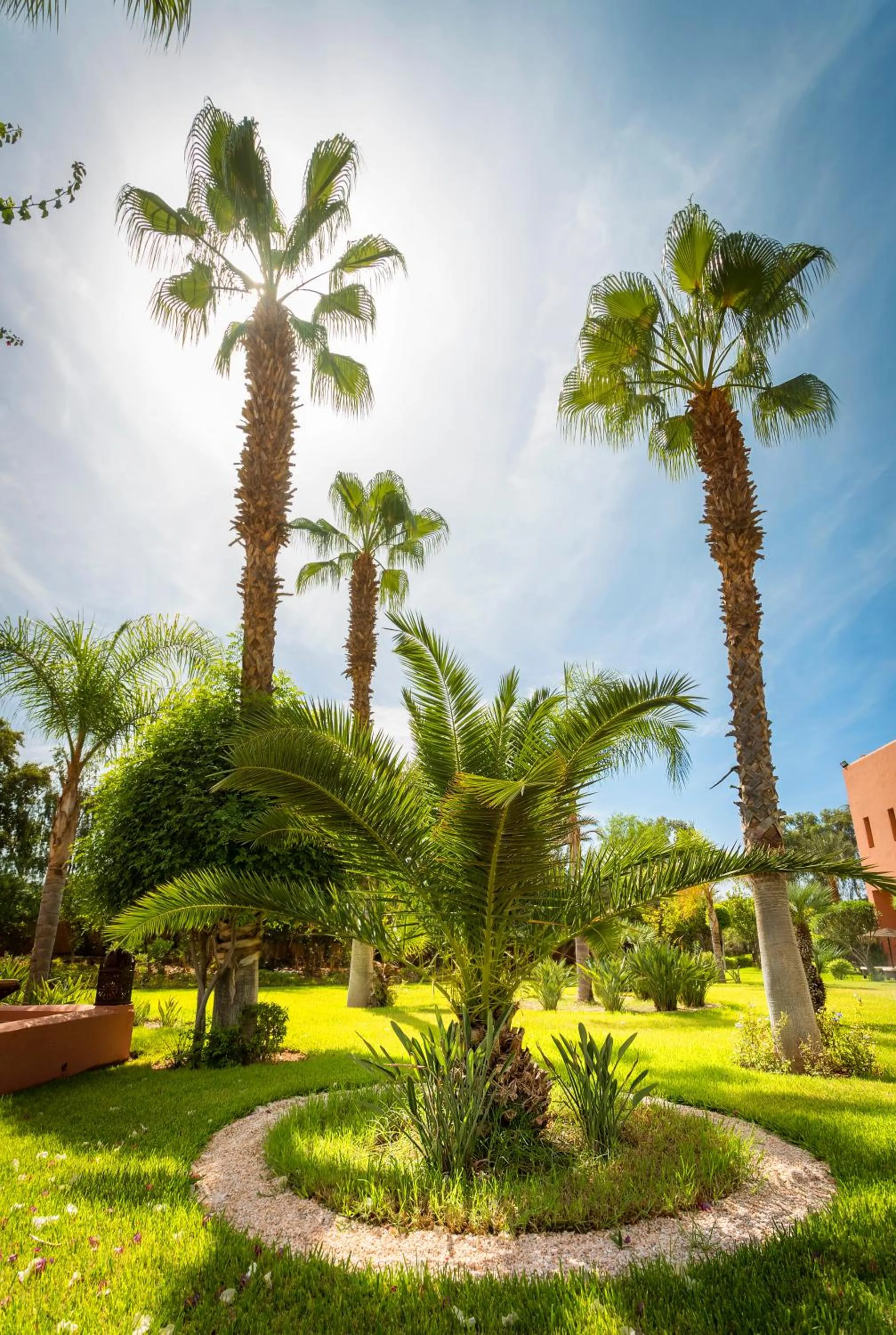 Garden in Hapimag Resort Marrakesh